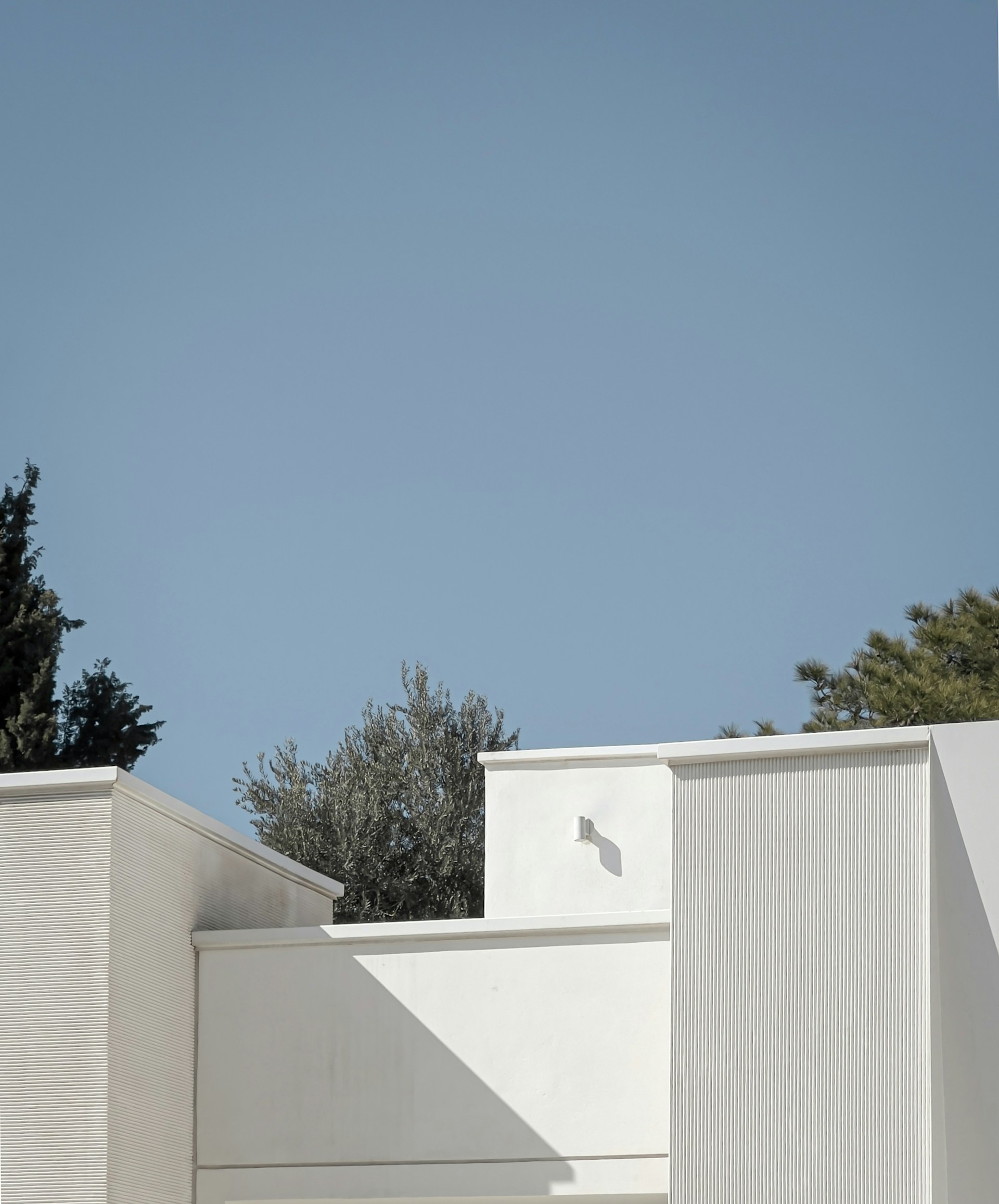 a bird flying over a white building with trees in the background