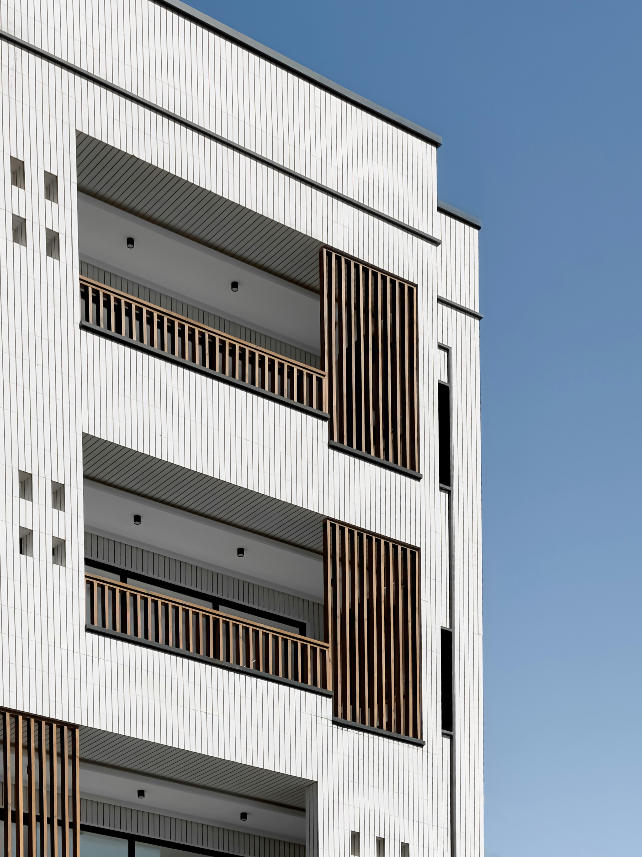 Photo by mahdinaseri