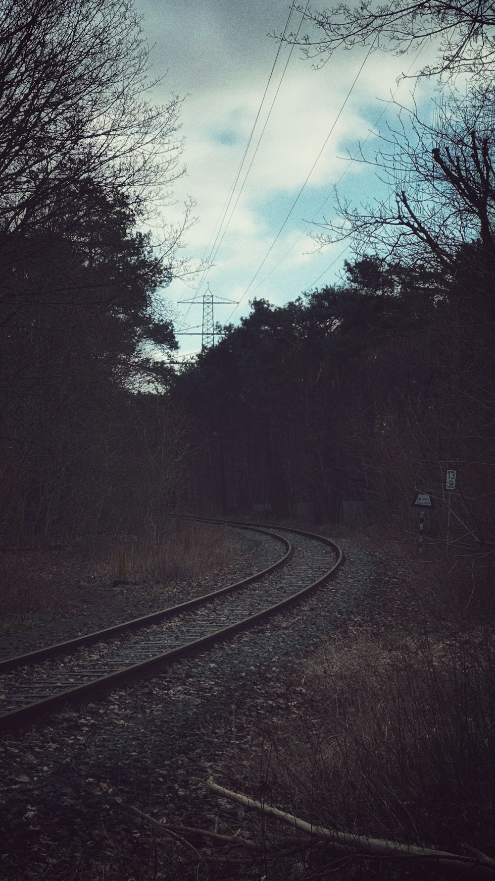 a train track in the middle of a wooded area