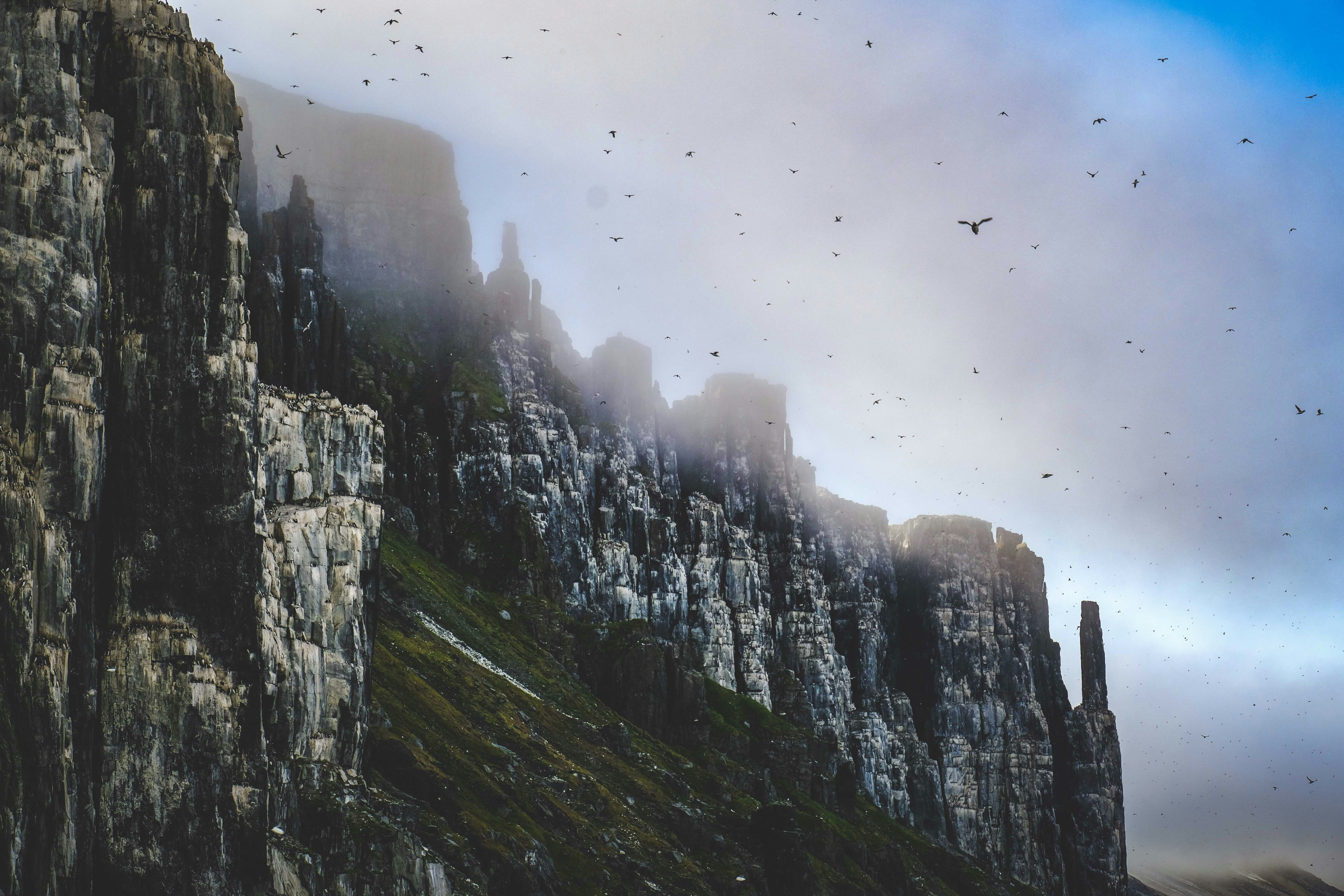 Photo by francesco_ungaro