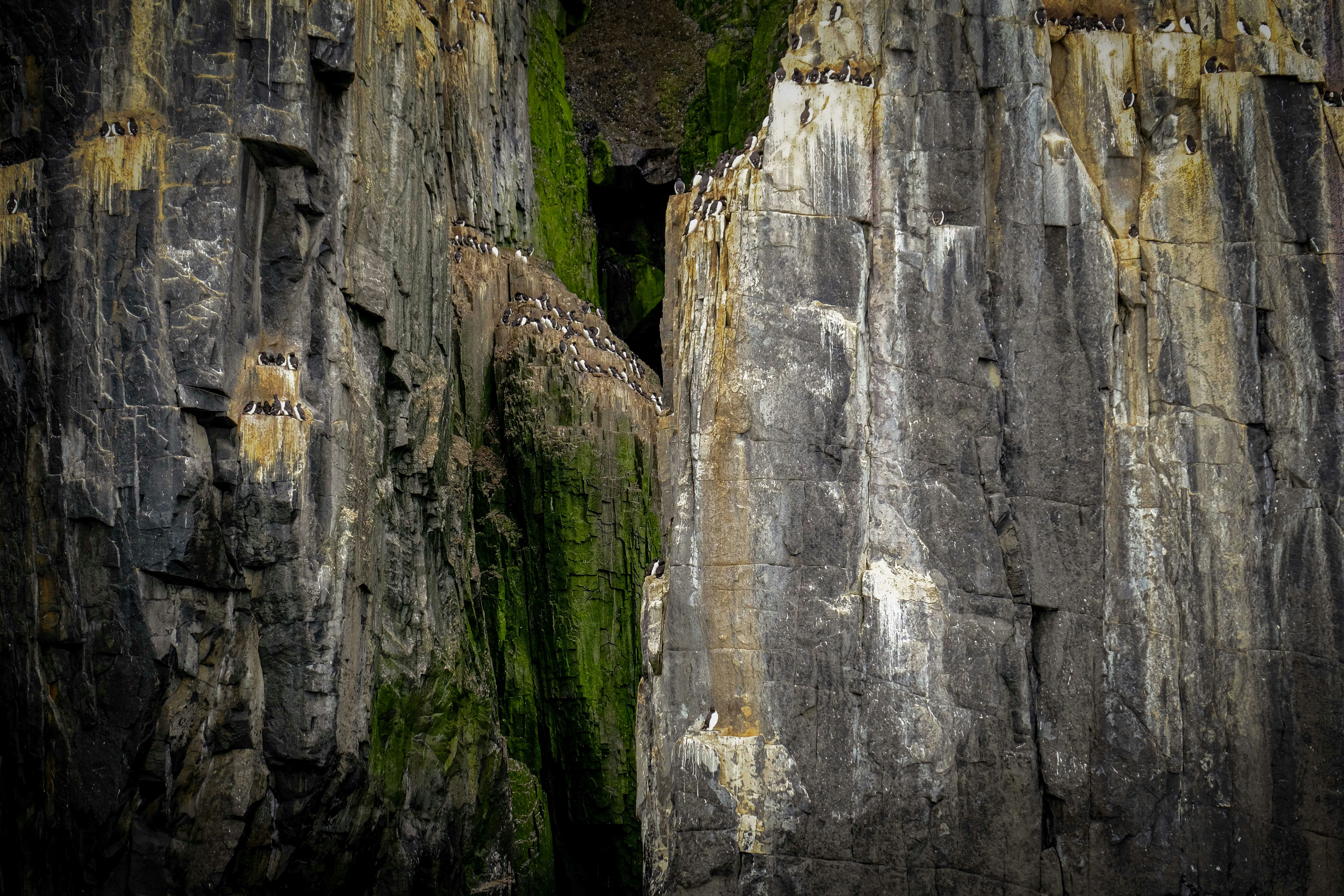 Photo by francesco_ungaro