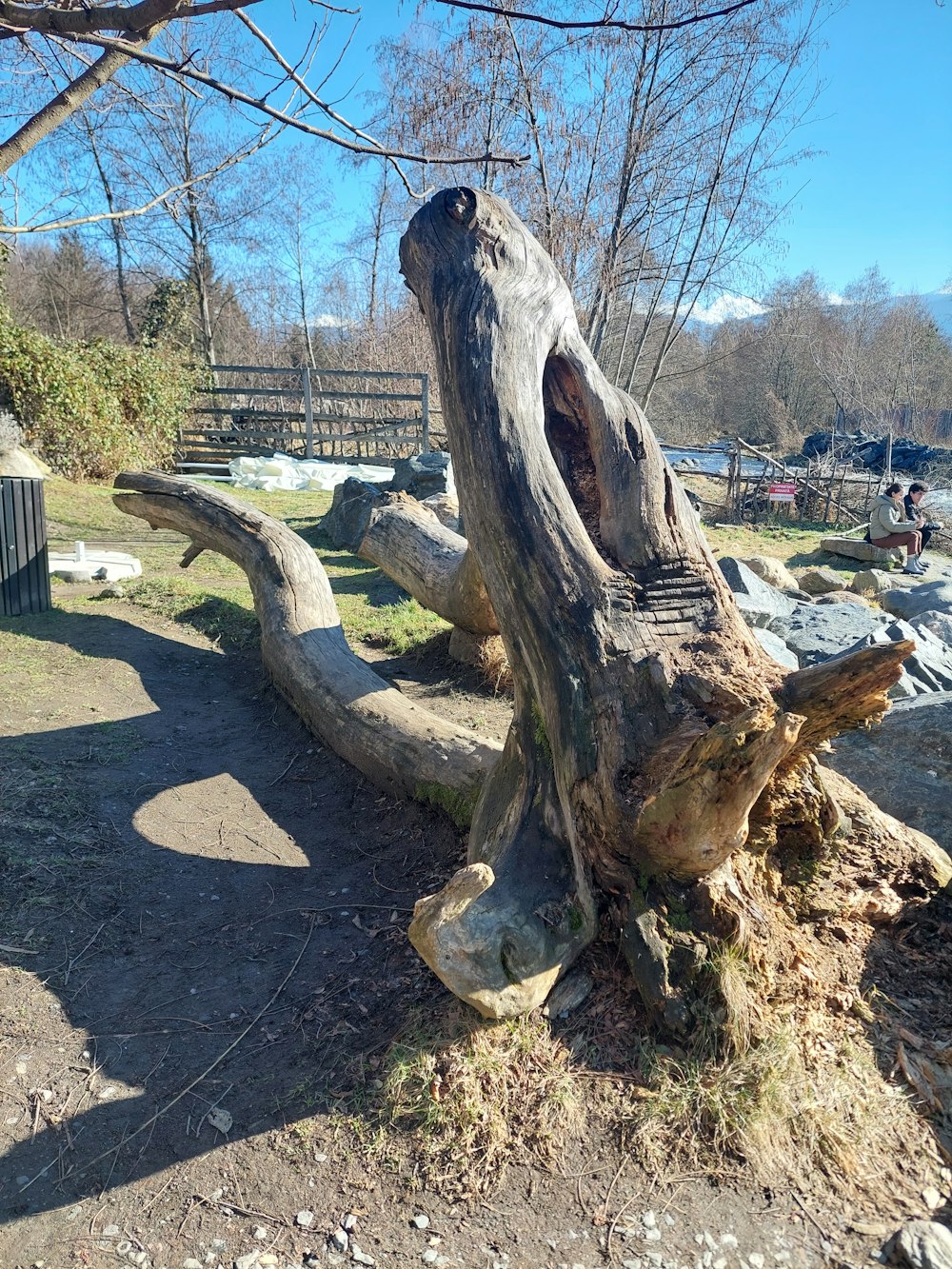 a large piece of wood sitting on top of a dirt field