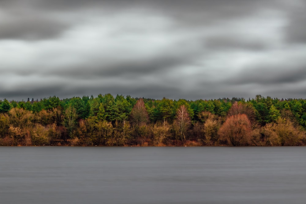 a large body of water surrounded by trees