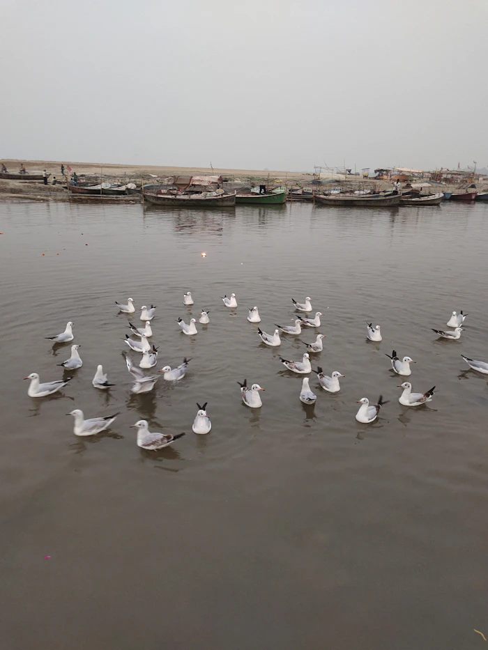 Varanasi, Prayagraj & Ayodhya - photo 3