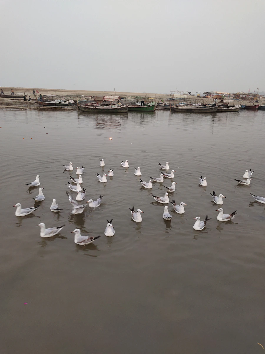 Varanasi, Prayagraj & Ayodhya - photo 3