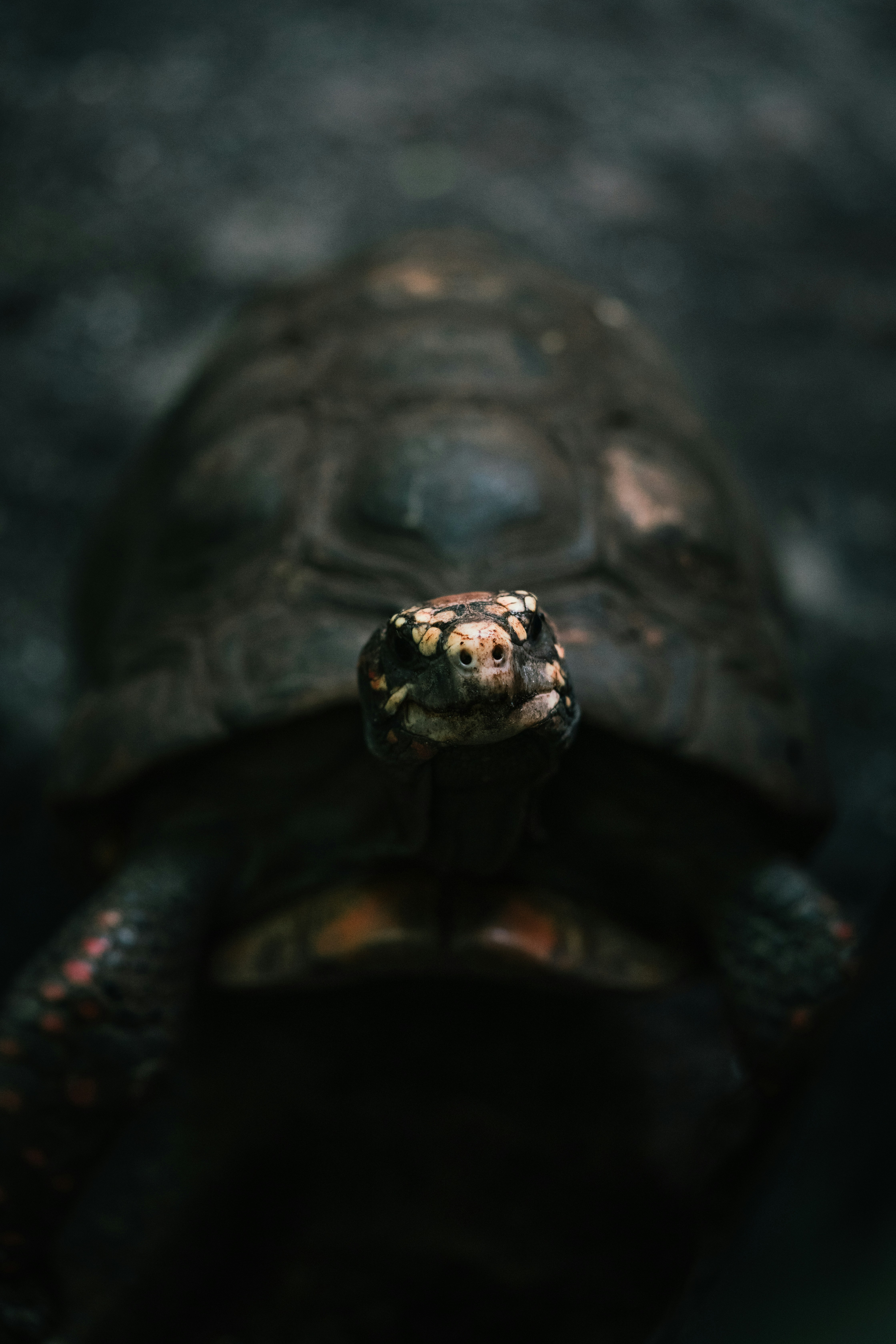 Photo by brotakesphotos