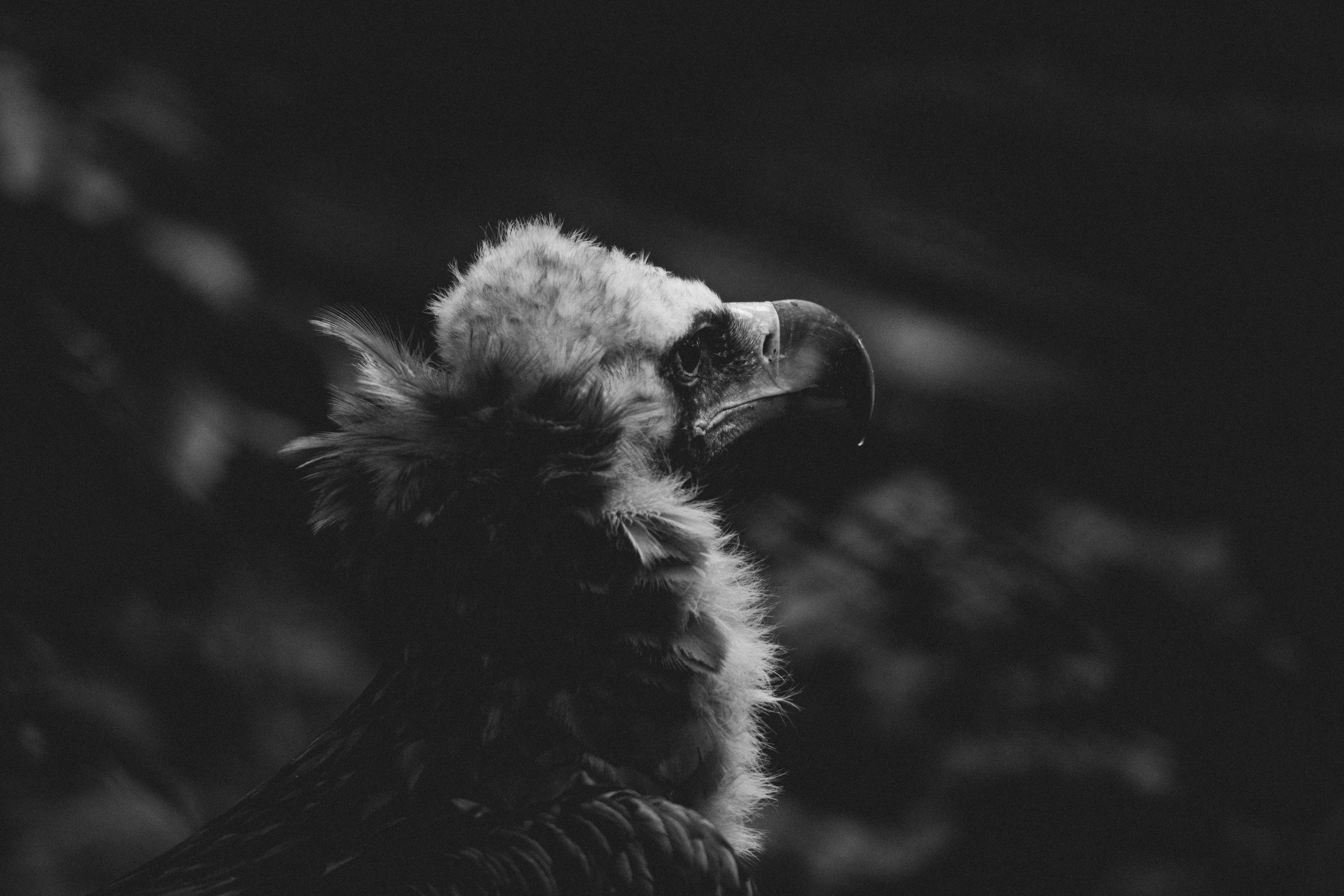 Photo by brotakesphotos