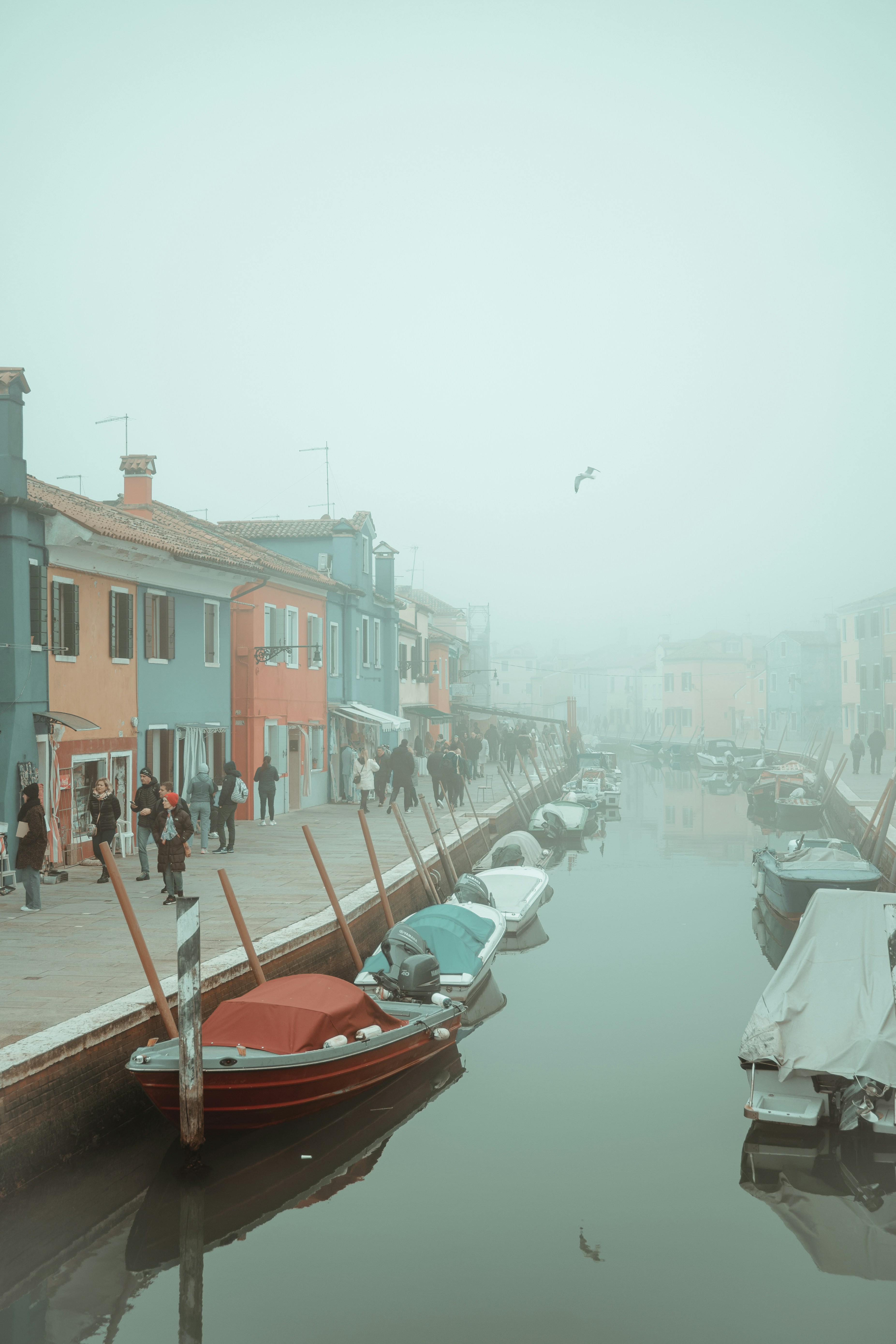 Photo by gonchifacello