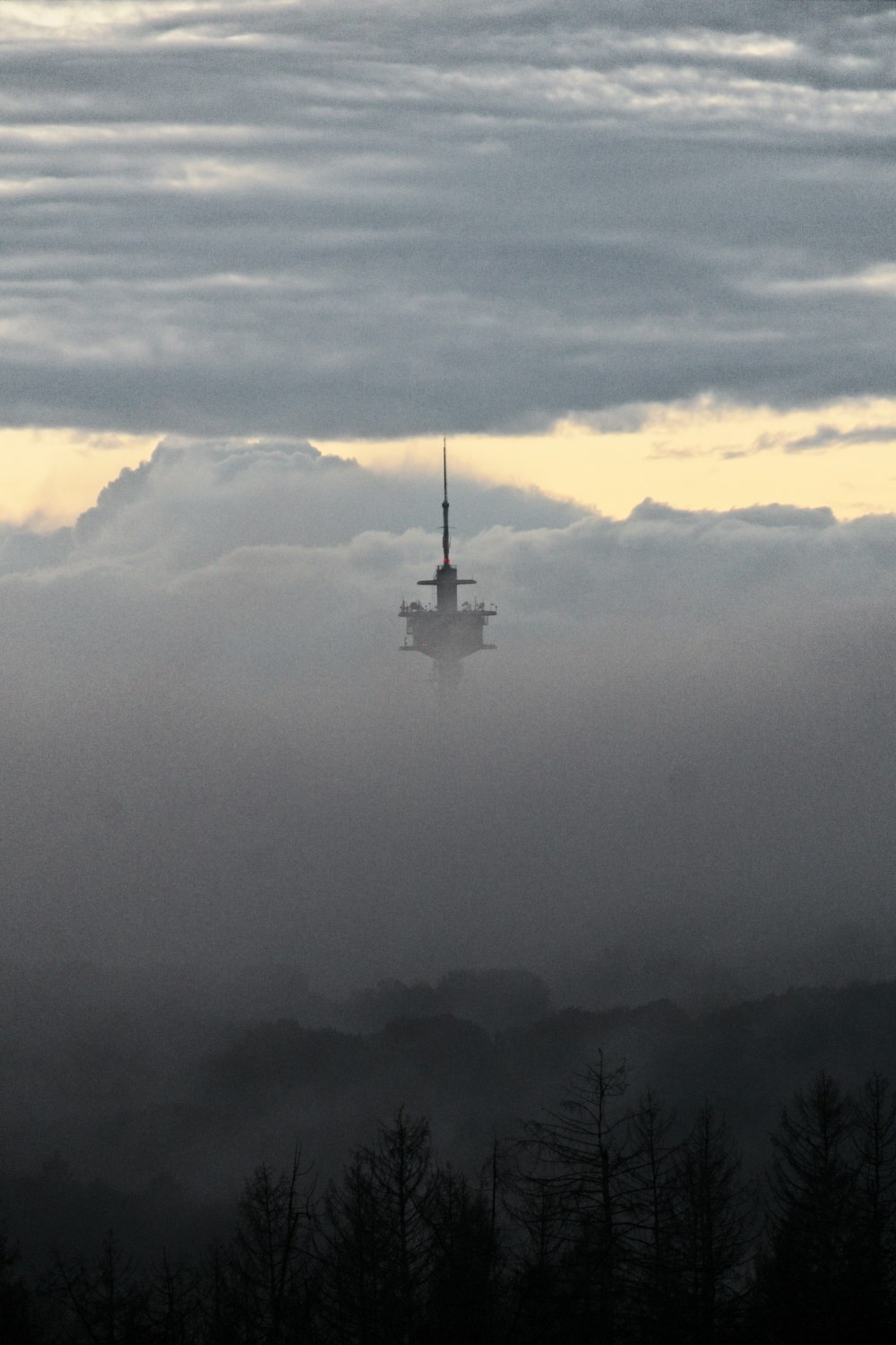 a tower in the middle of a foggy forest