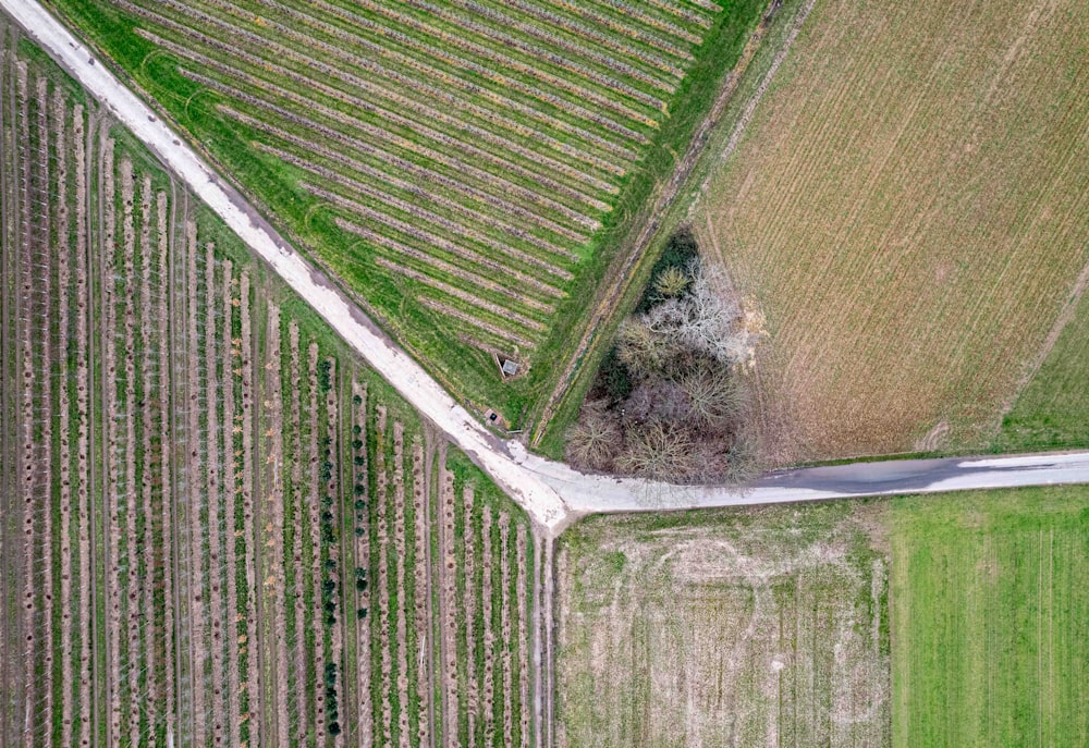 an aerial view of a road running through a field