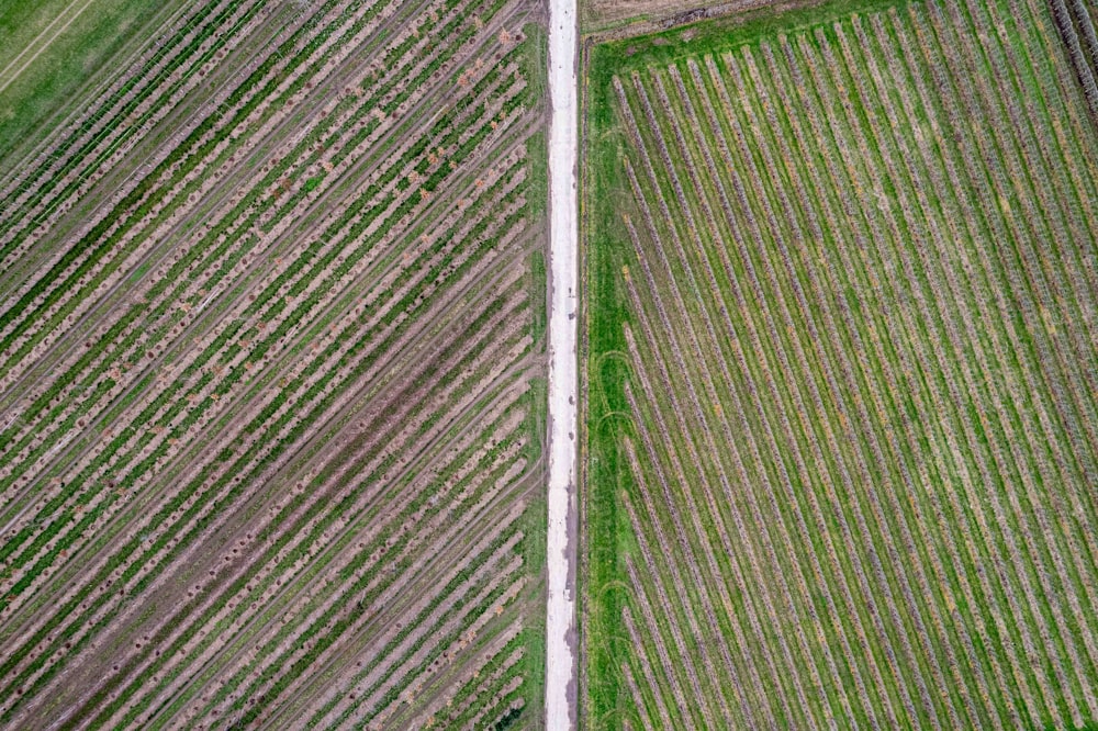 an aerial view of a field with a road going through it