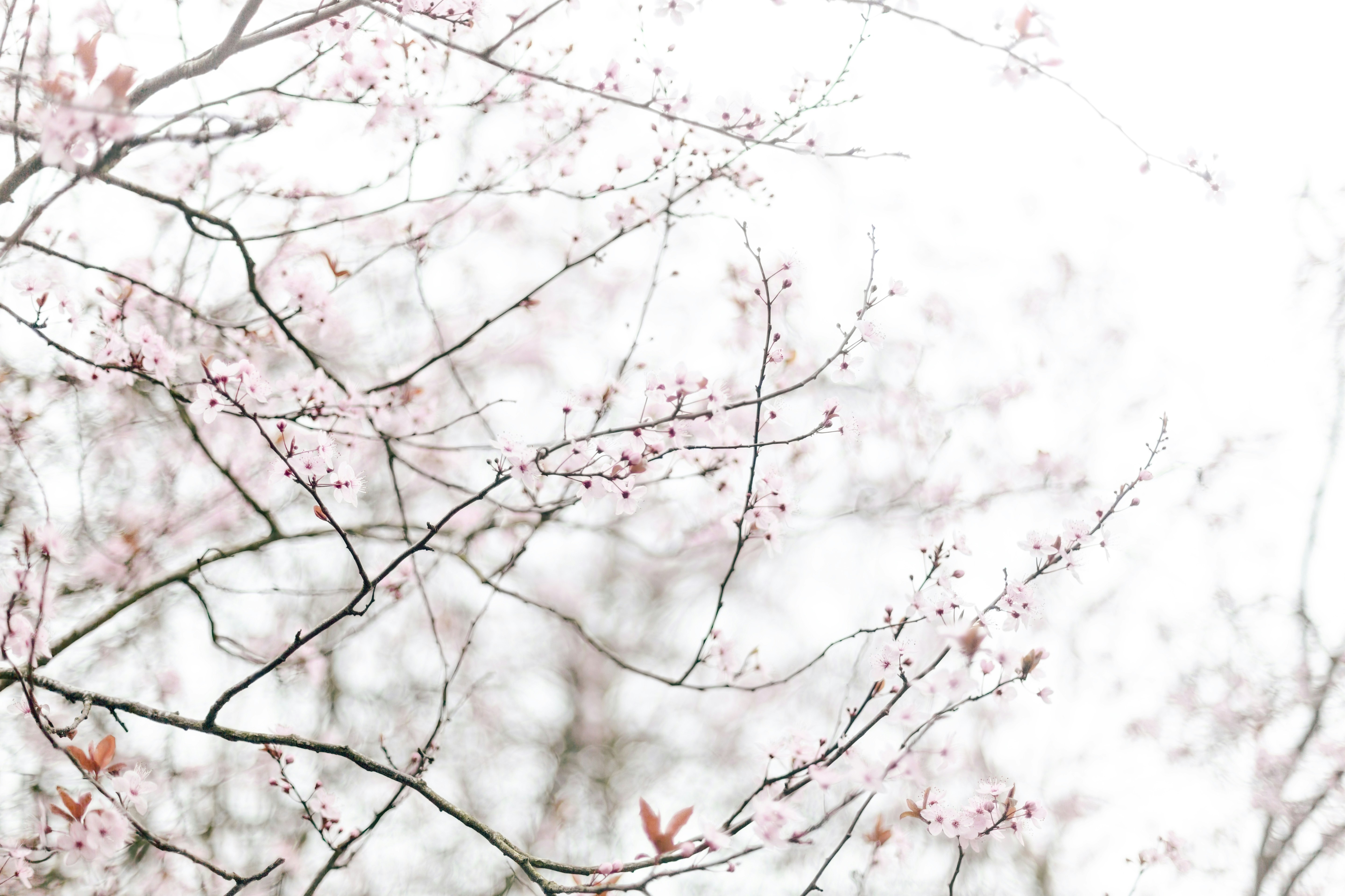 Photo by nataliekinnear