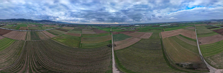 Vista panorámica de campo