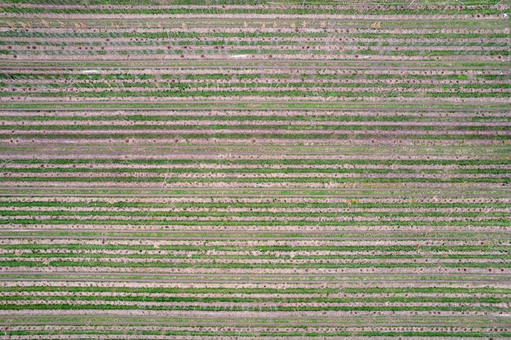 an aerial view of a field with grass