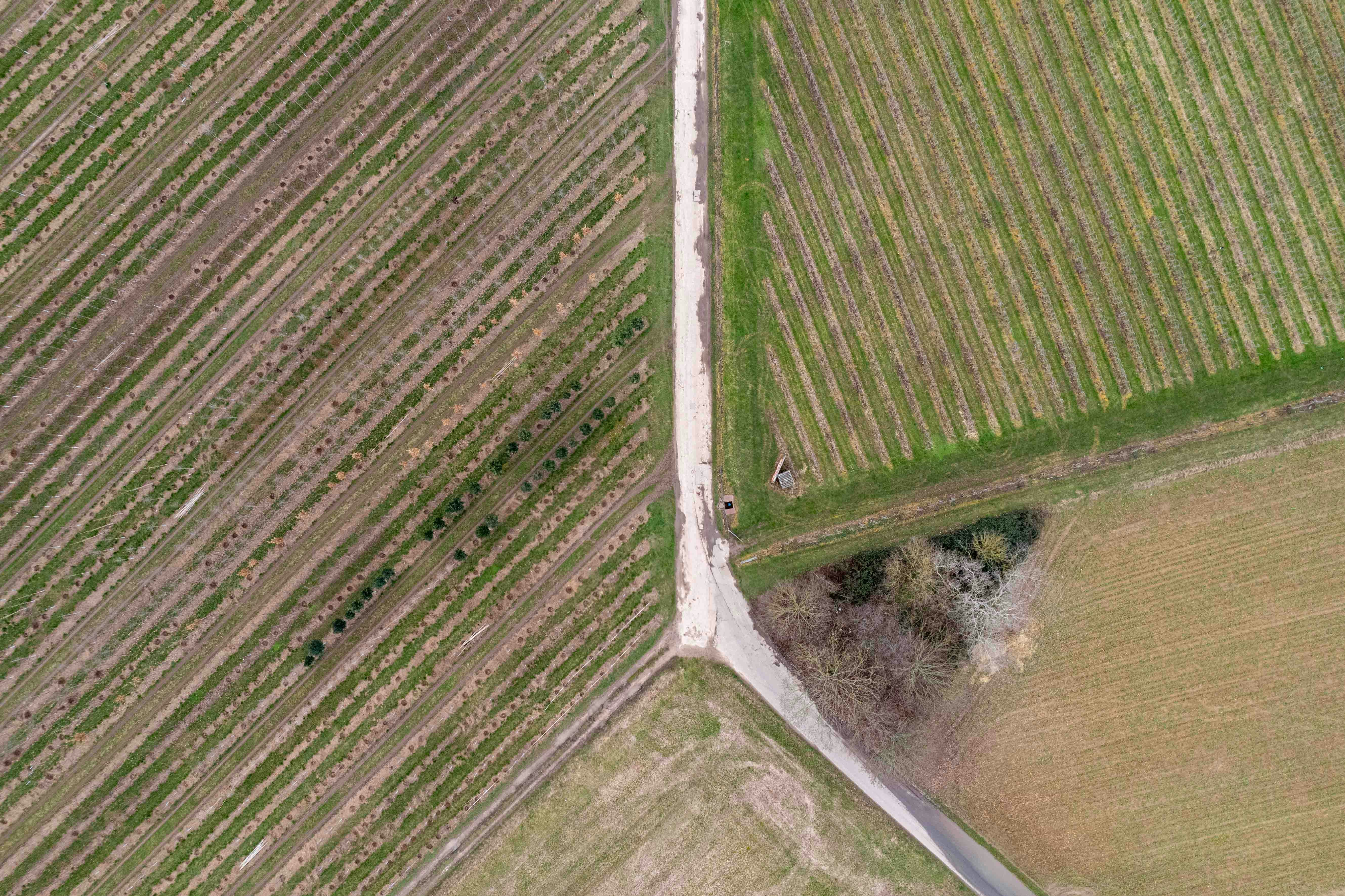 an aerial view of a field with a road running through it
