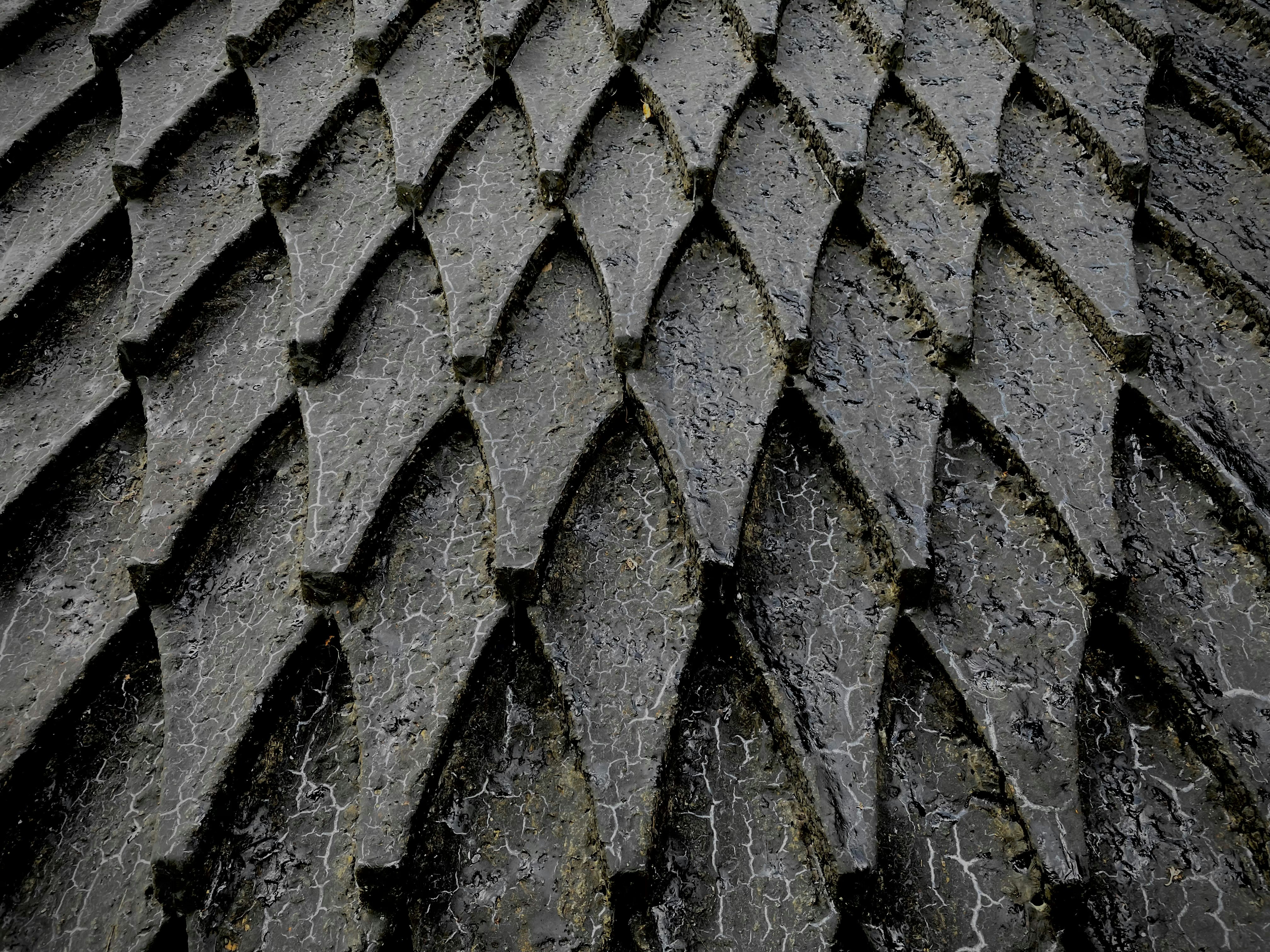 Photo by jennyhentschke