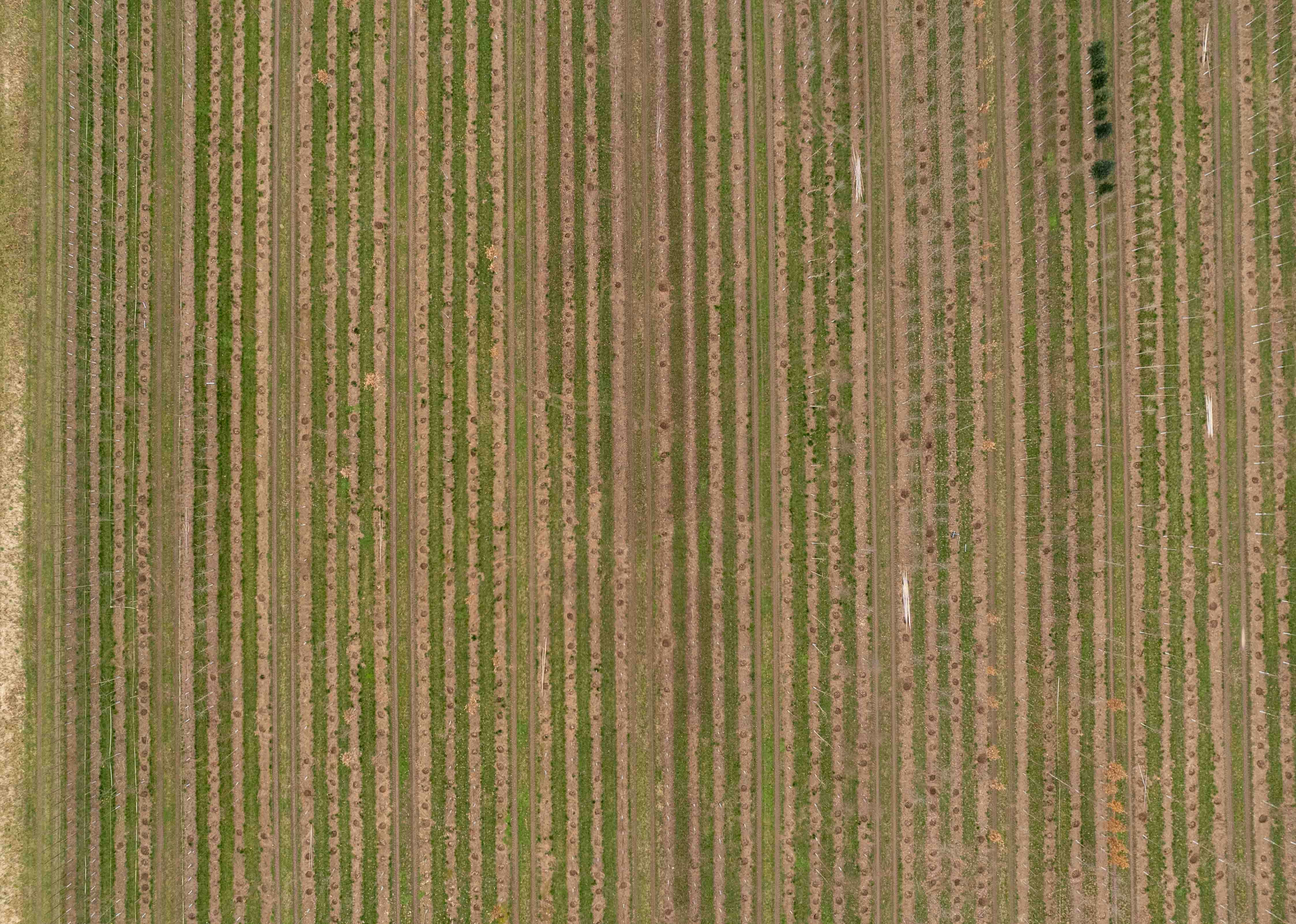 Precision farming drone analysis of agricultural land