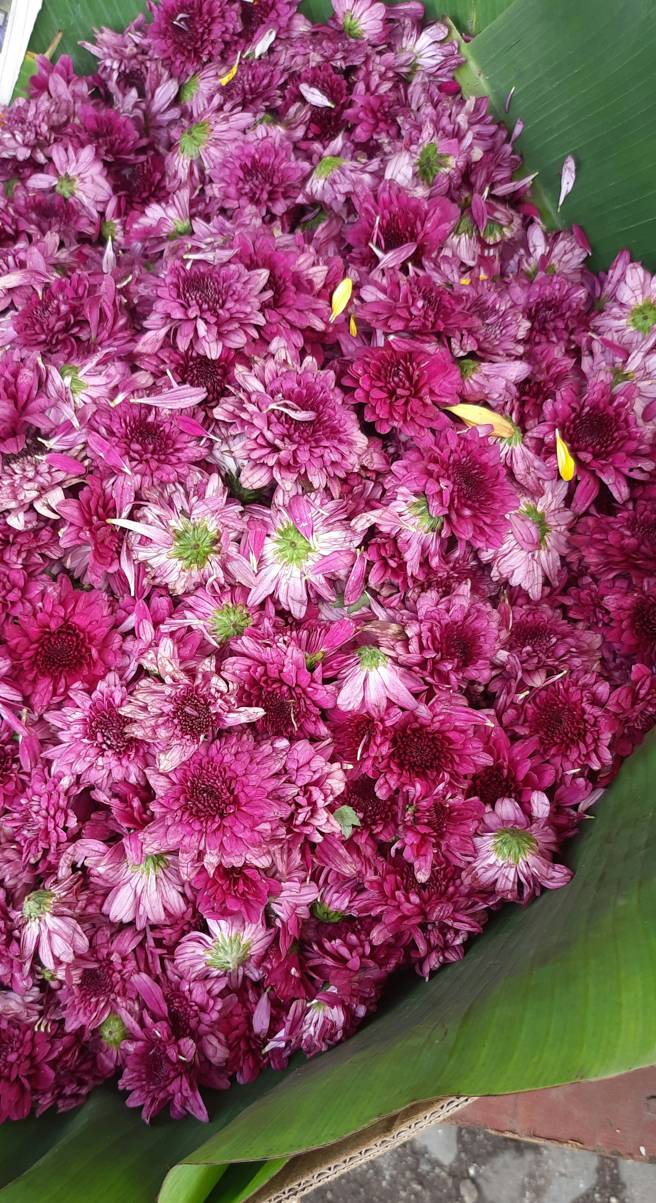 Photo by and_i_waited