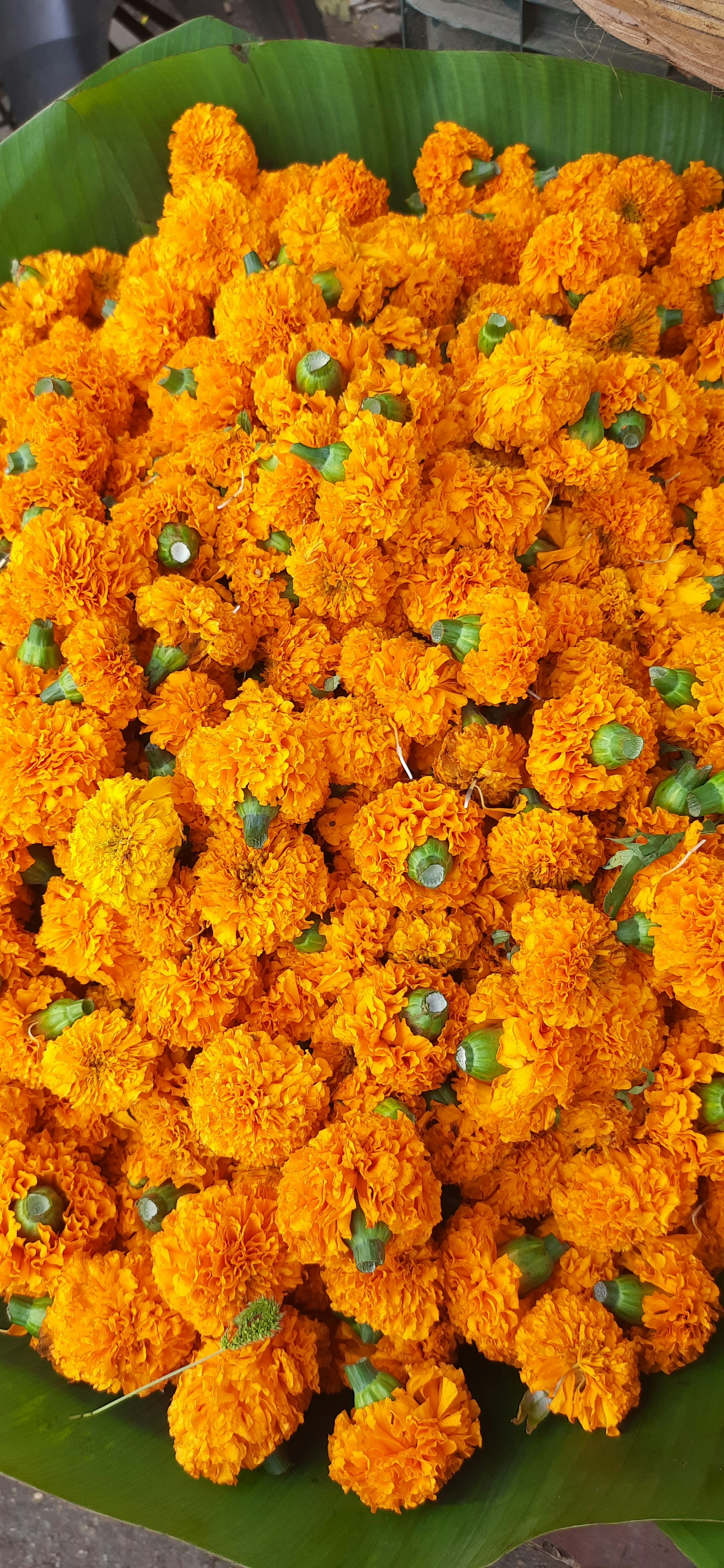 Photo by and_i_waited