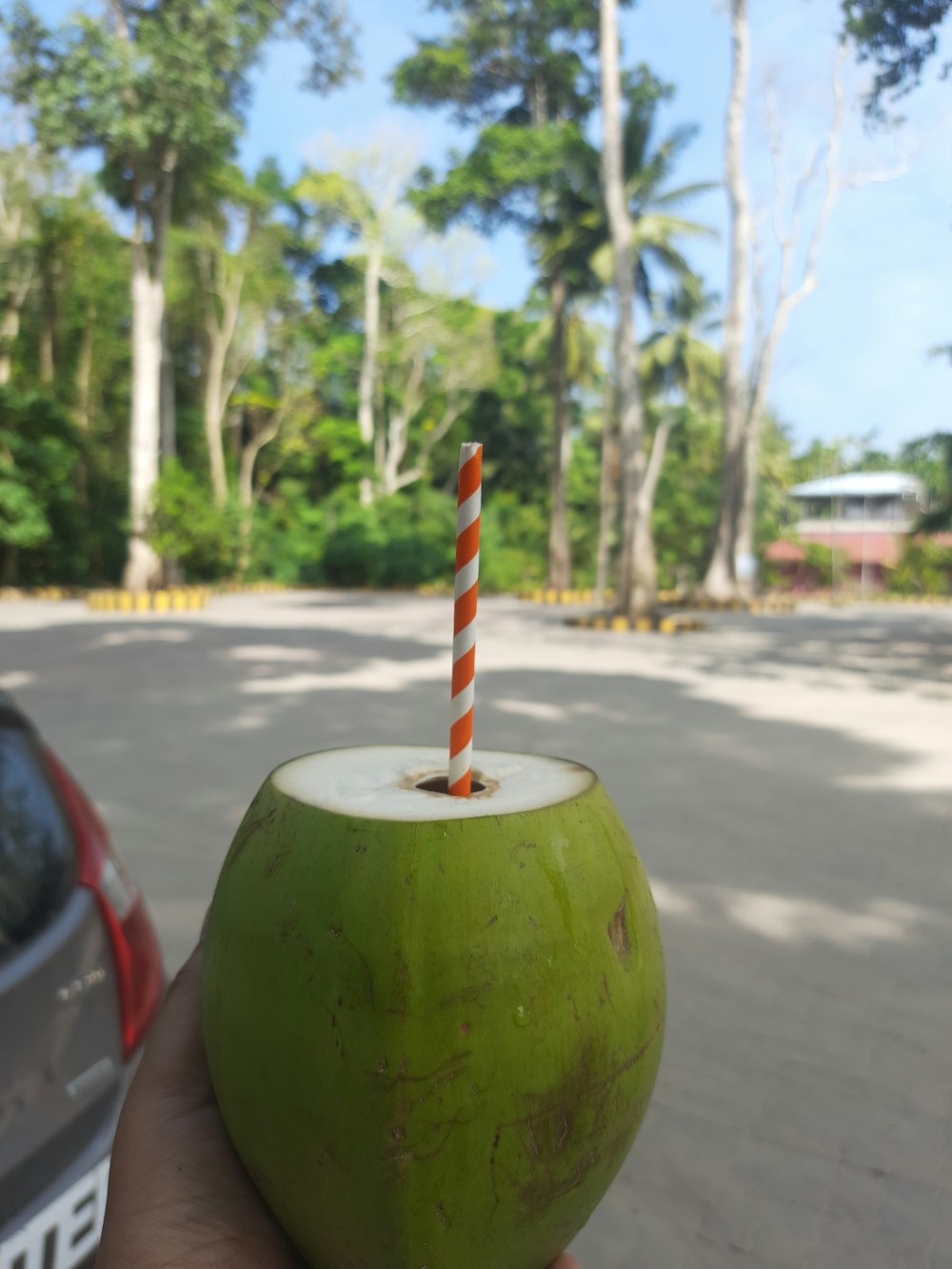 a person holding a green coconut with a straw in it