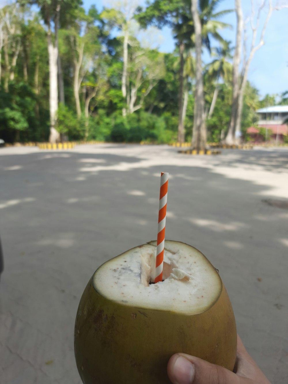 a person holding a coconut drink in their hand