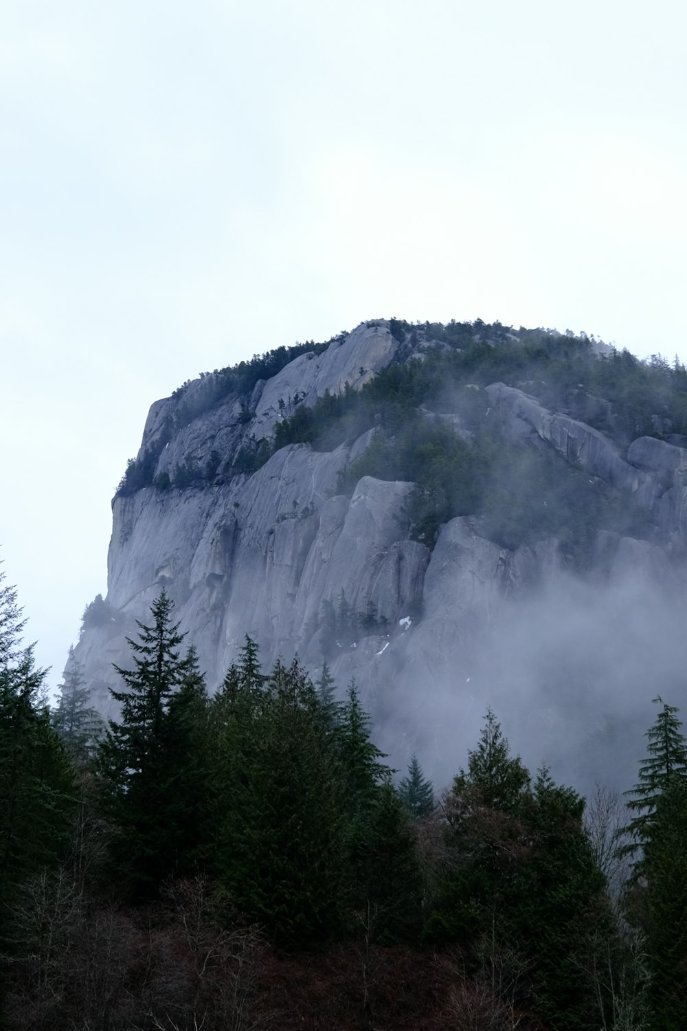 a mountain covered in fog with trees below