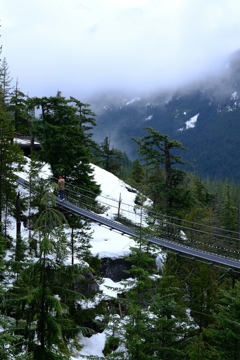 a man walking across a bridge over a snow covered forest