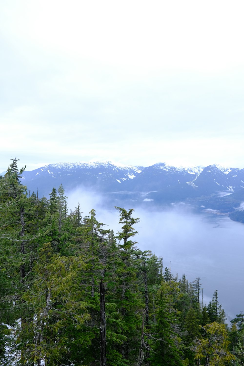 a view of a mountain range with trees and mountains in the background