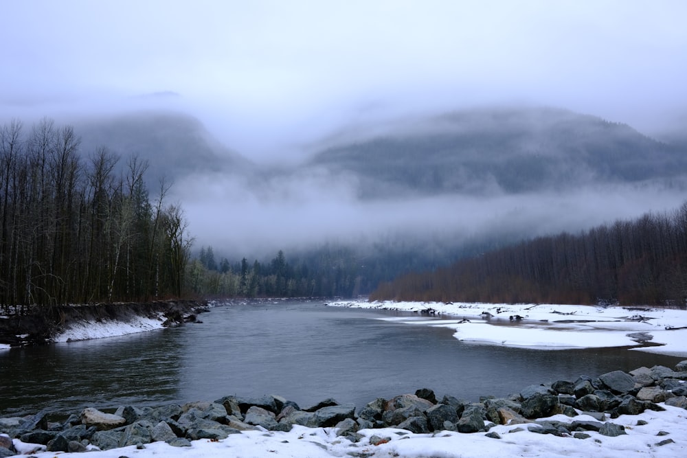 a river running through a forest covered in snow