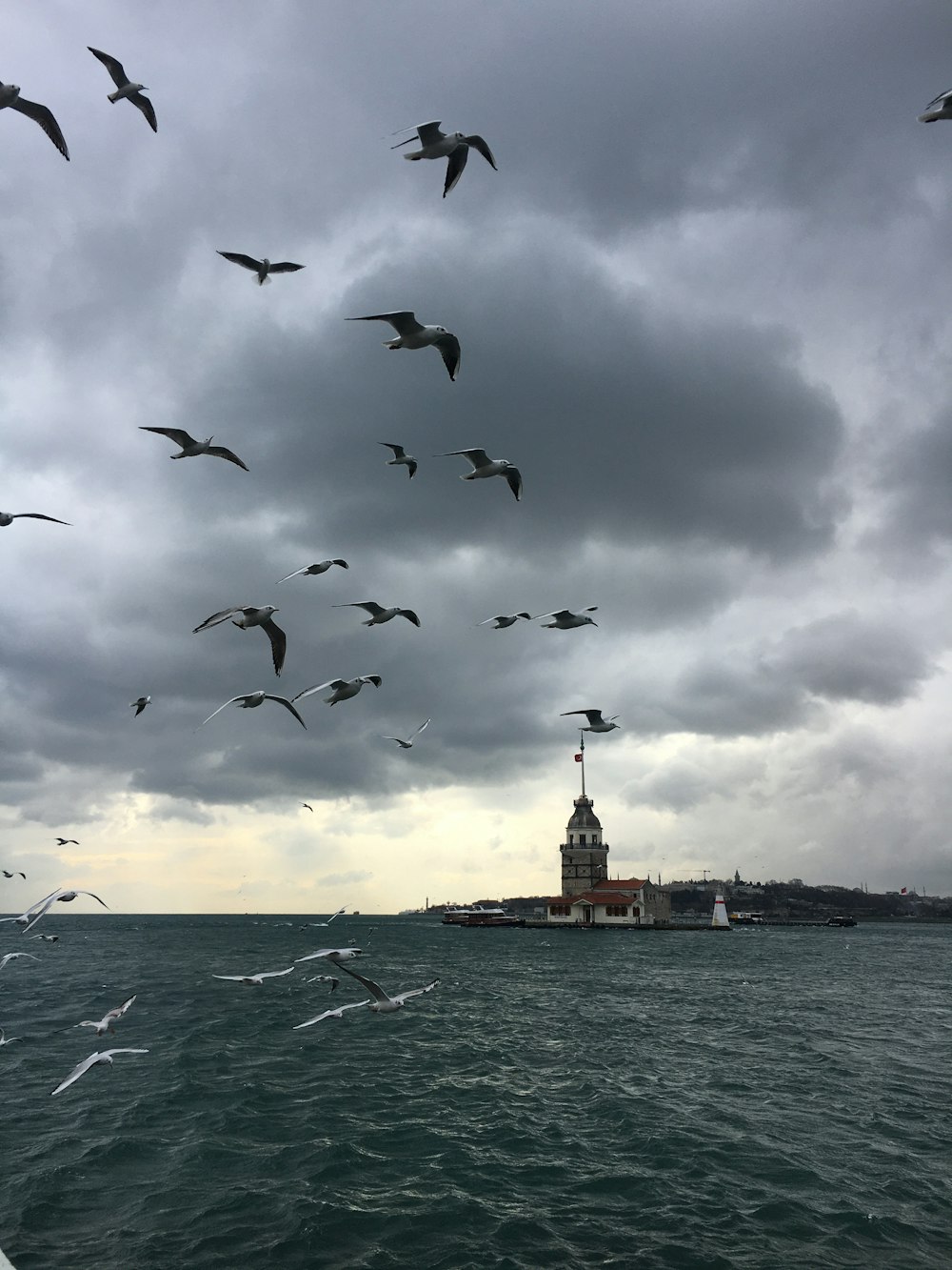 a flock of birds flying over a body of water