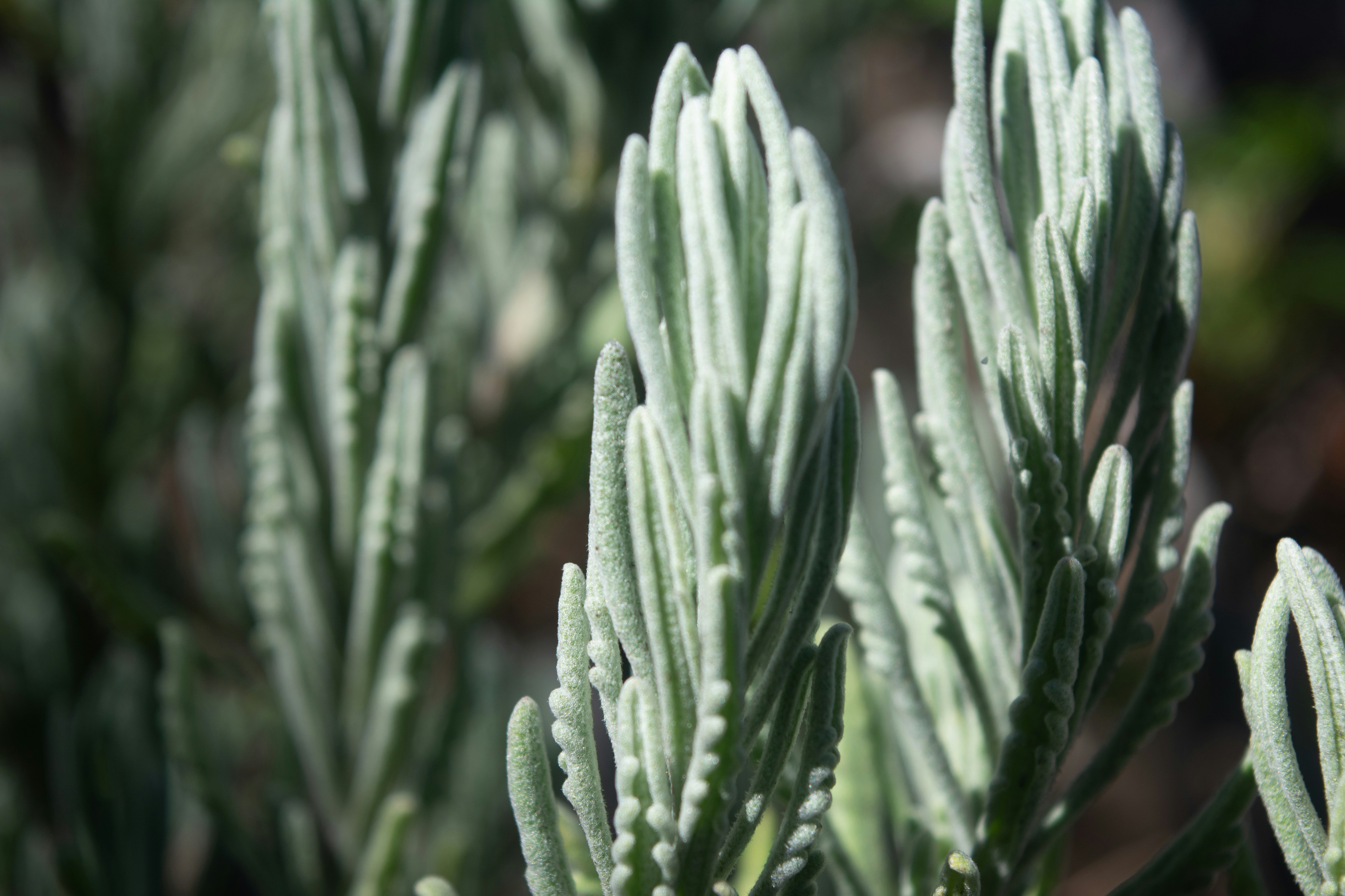 Photo by bymiyashiro