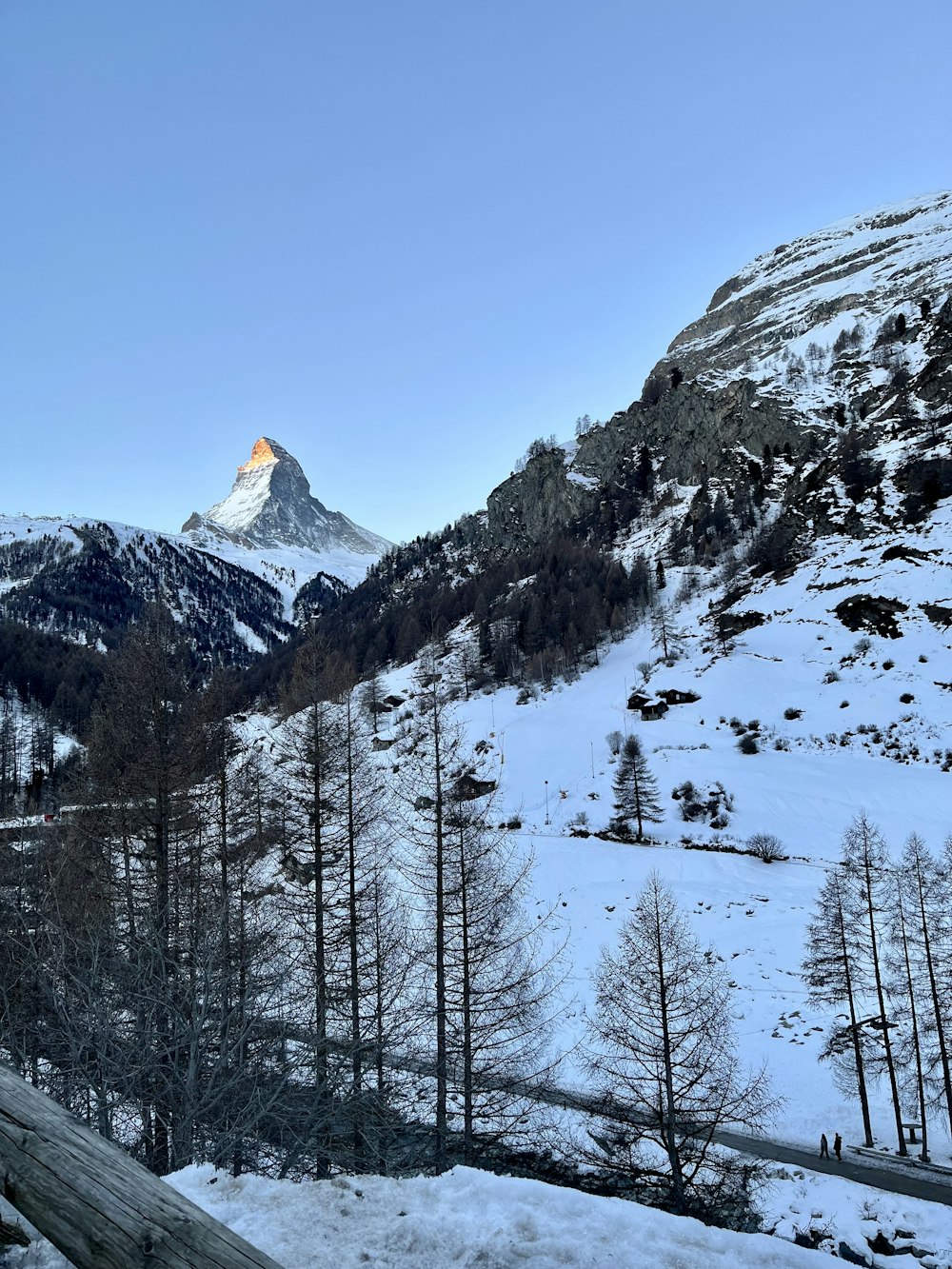 ein schneebedeckter Berg mit Bäumen und Bergen im Hintergrund