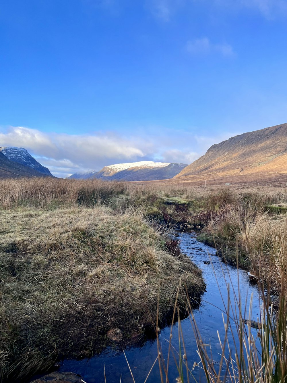 a stream running through a grass covered field