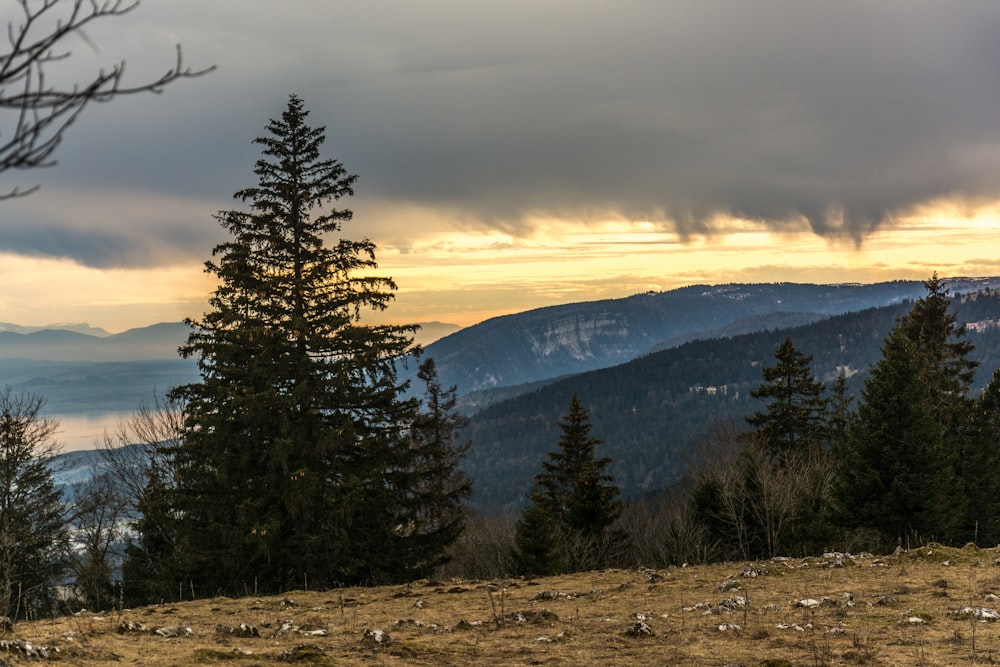 une vue d’une chaîne de montagnes avec des arbres au premier plan