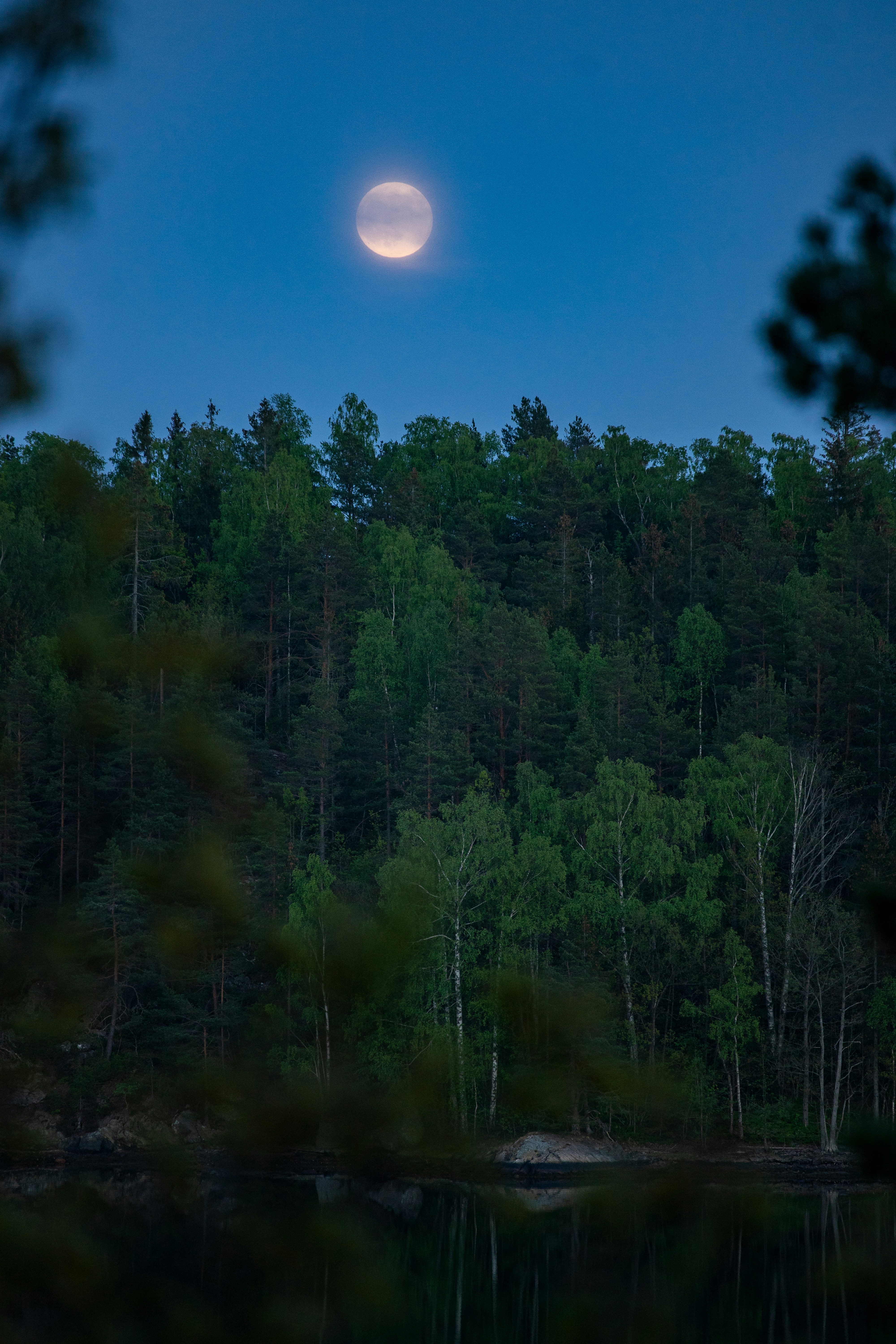 Photo by benmakrucki