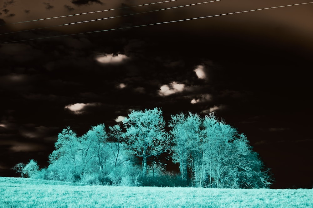 a grassy field with trees and clouds in the background