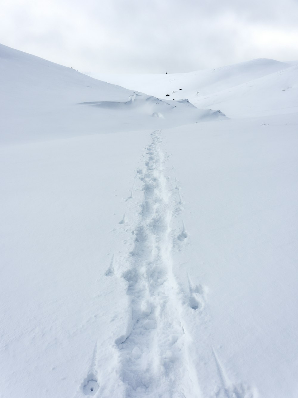 a trail in the snow with a sky background