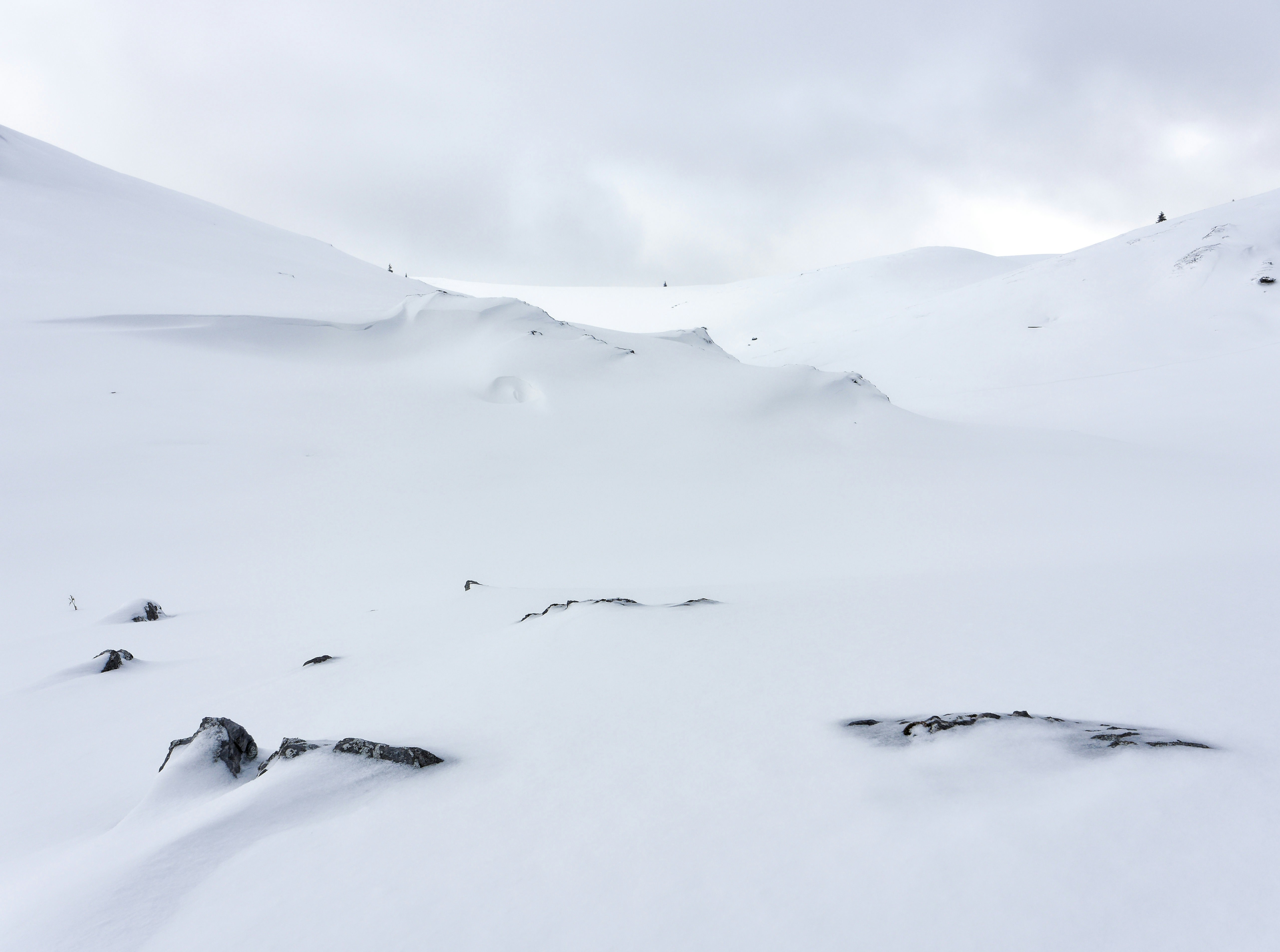 Photo by illes_cristi