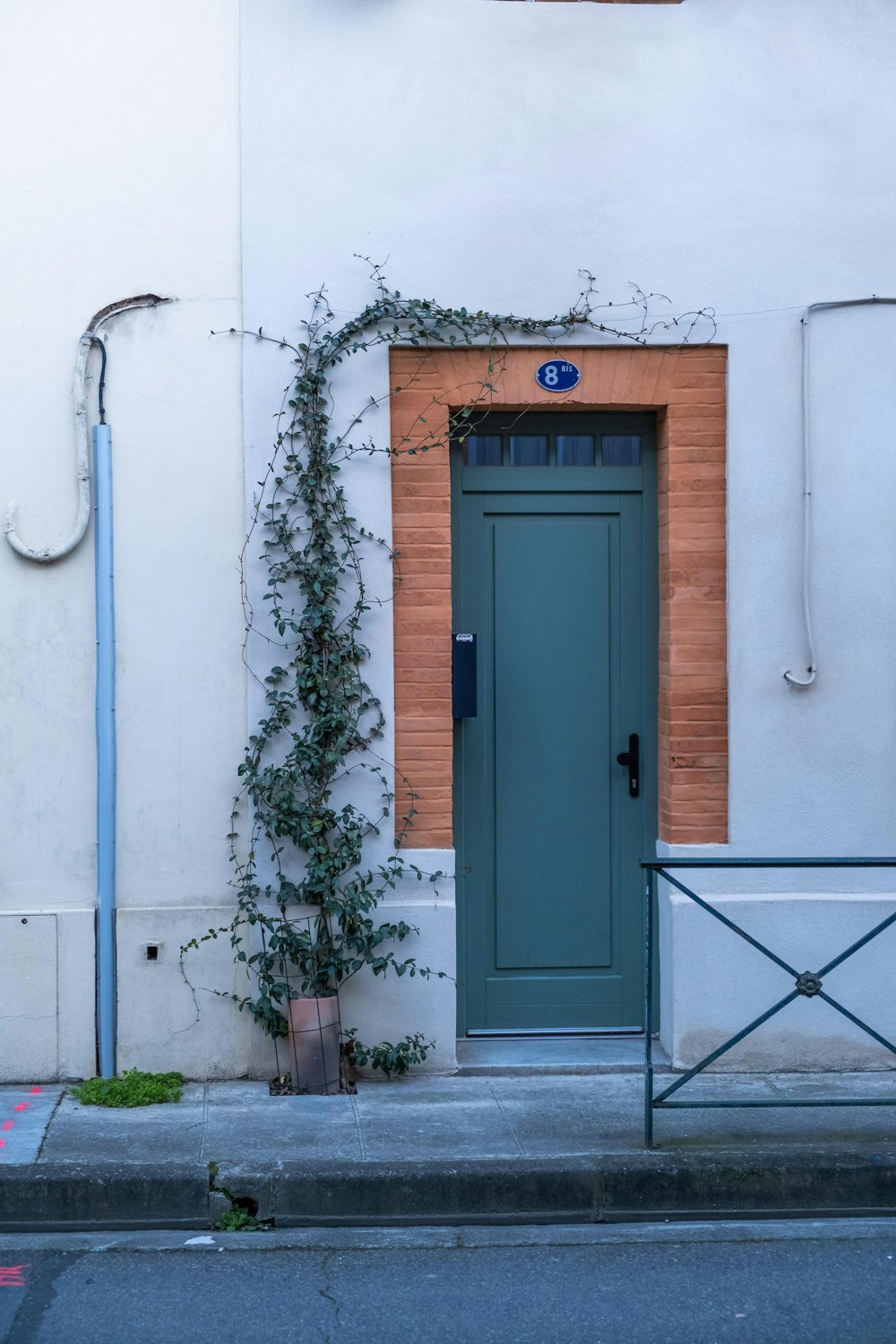 a building with a green door and a plant growing up the side of it