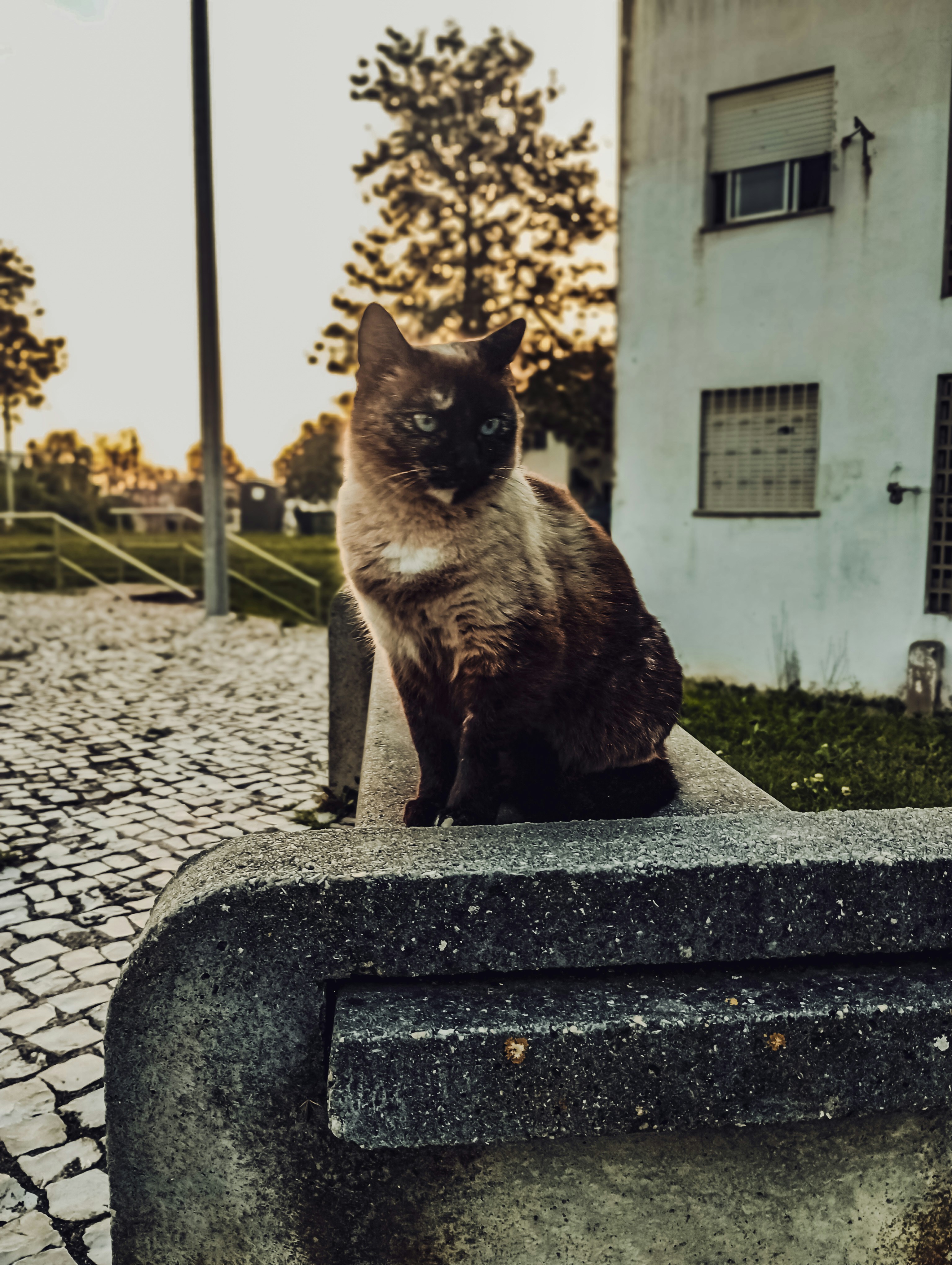 Photo by padi26