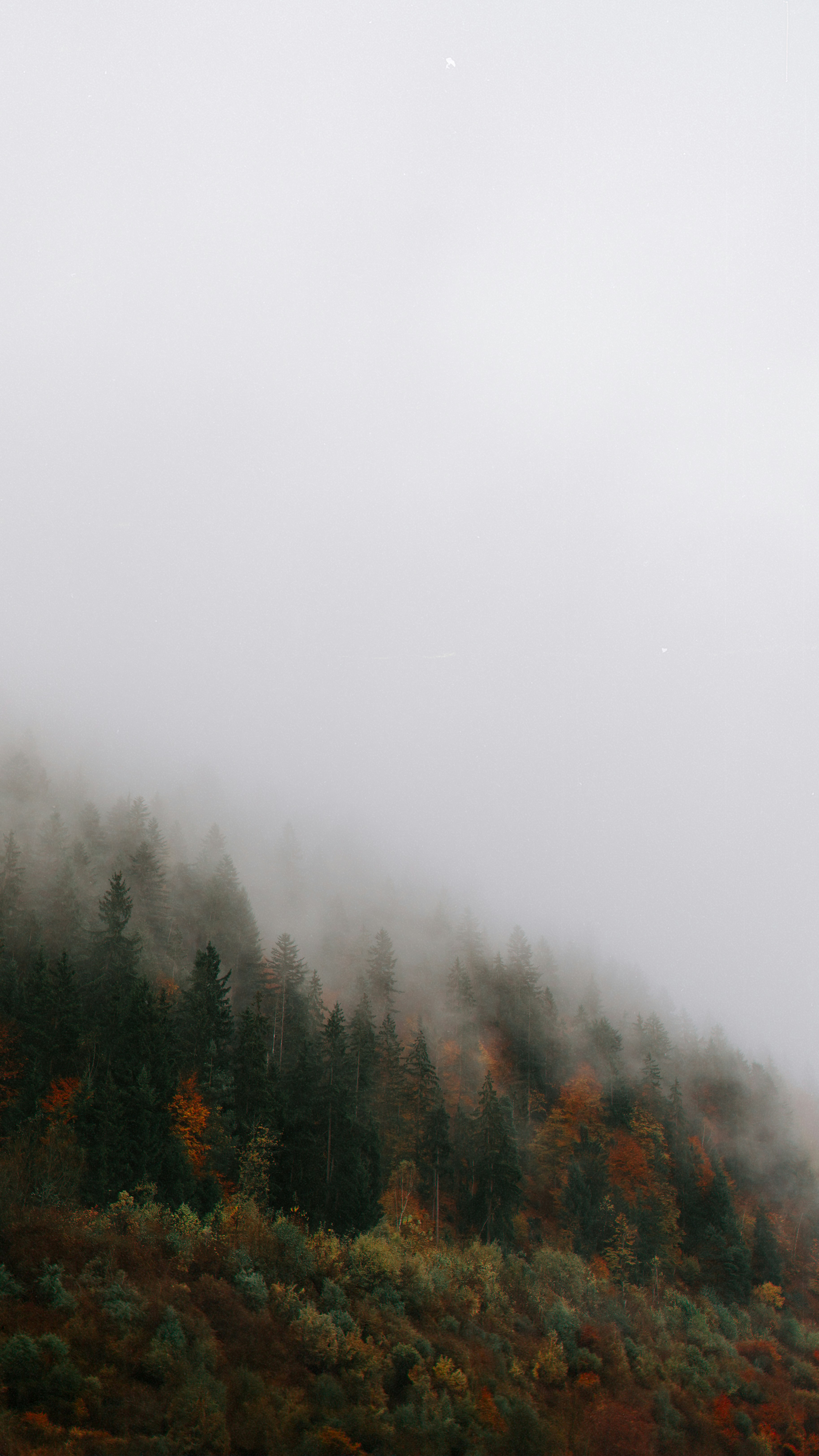 Photo by martinkatler