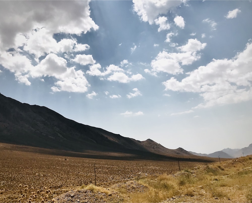 a field with a mountain in the background