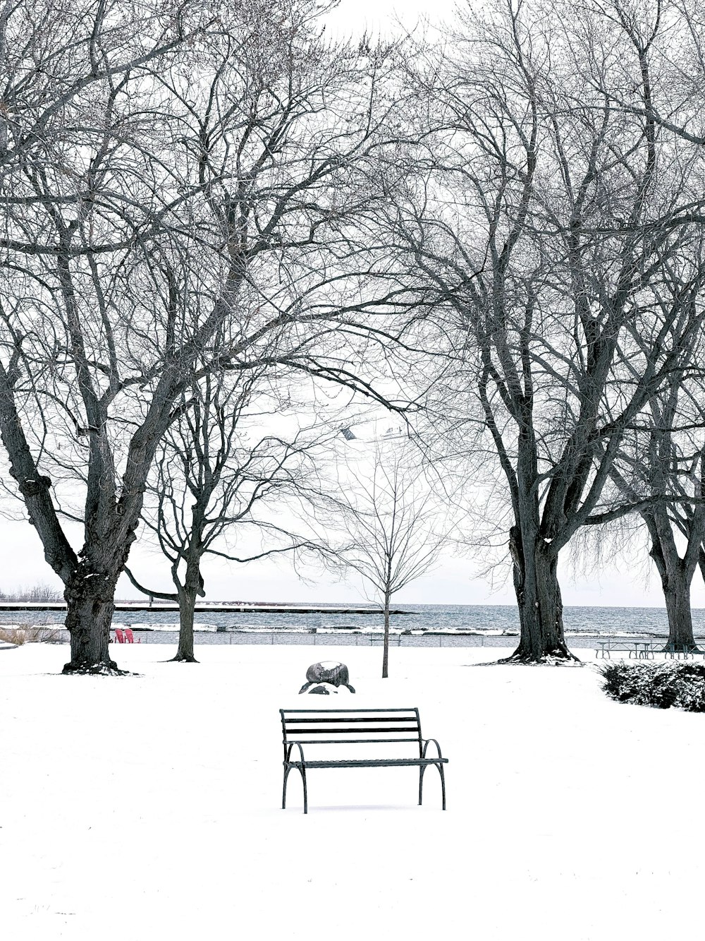 a park bench with a dog sitting on top of it