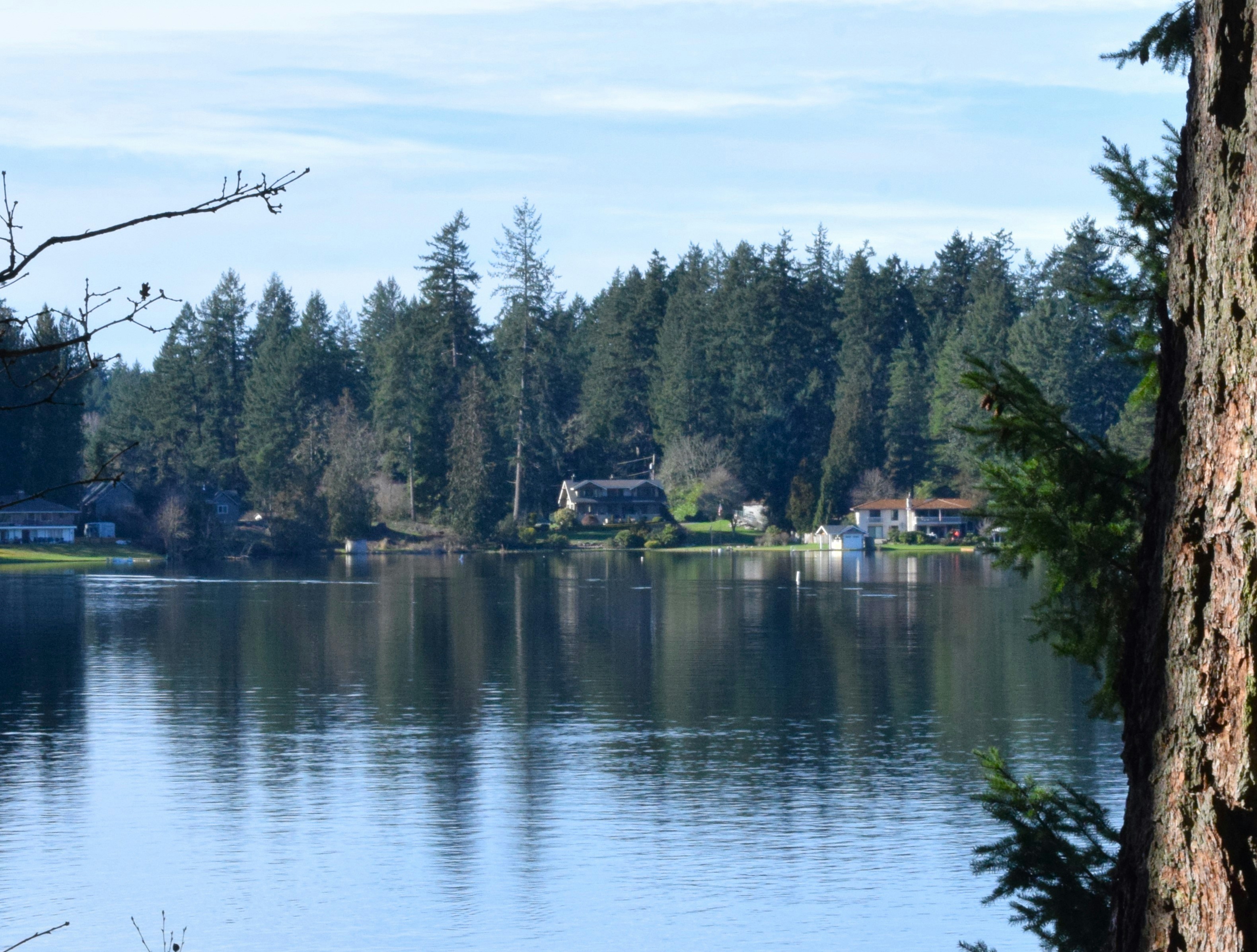 Photo by fr0ggy5_fr0ggy5