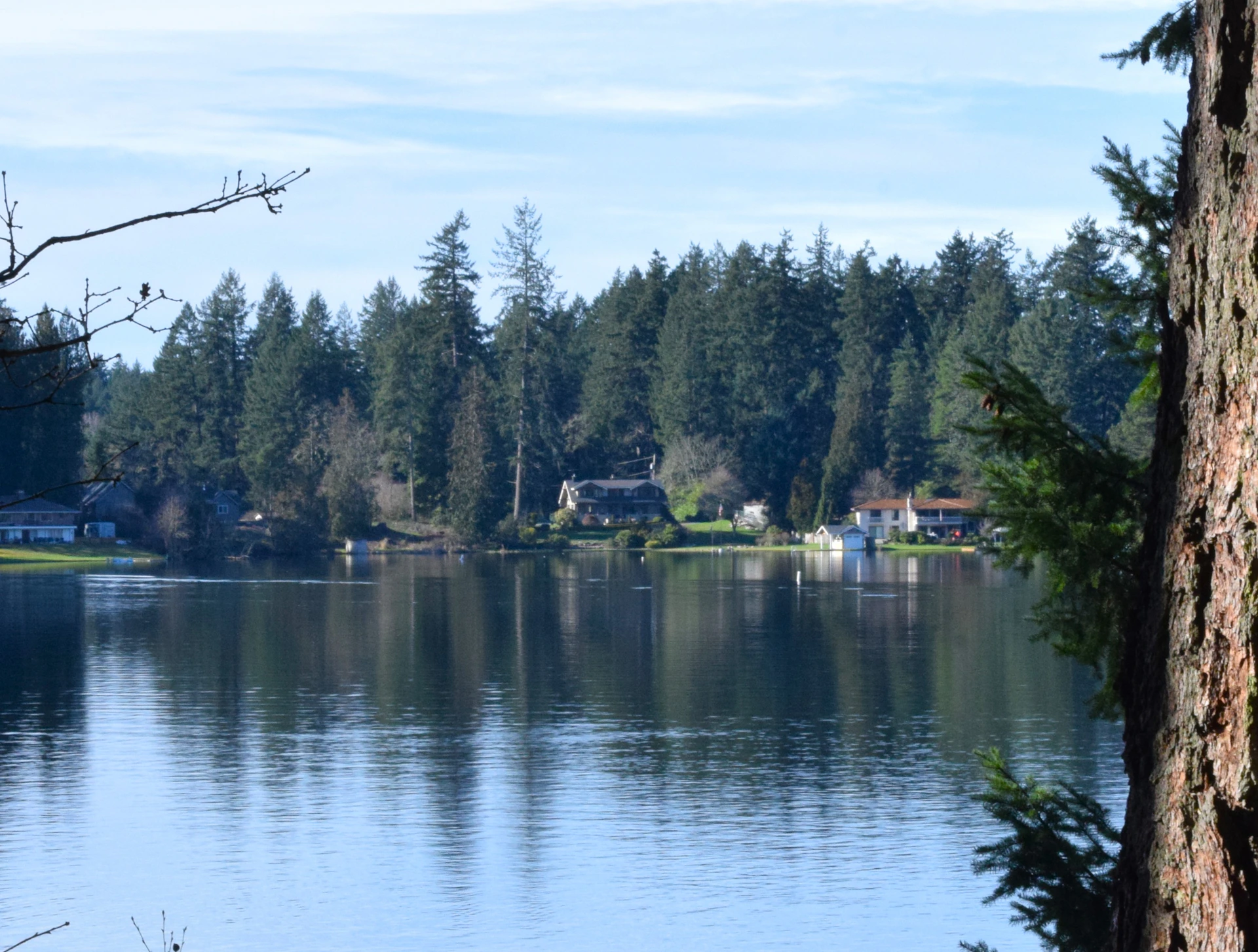 a body of water surrounded by trees and houses