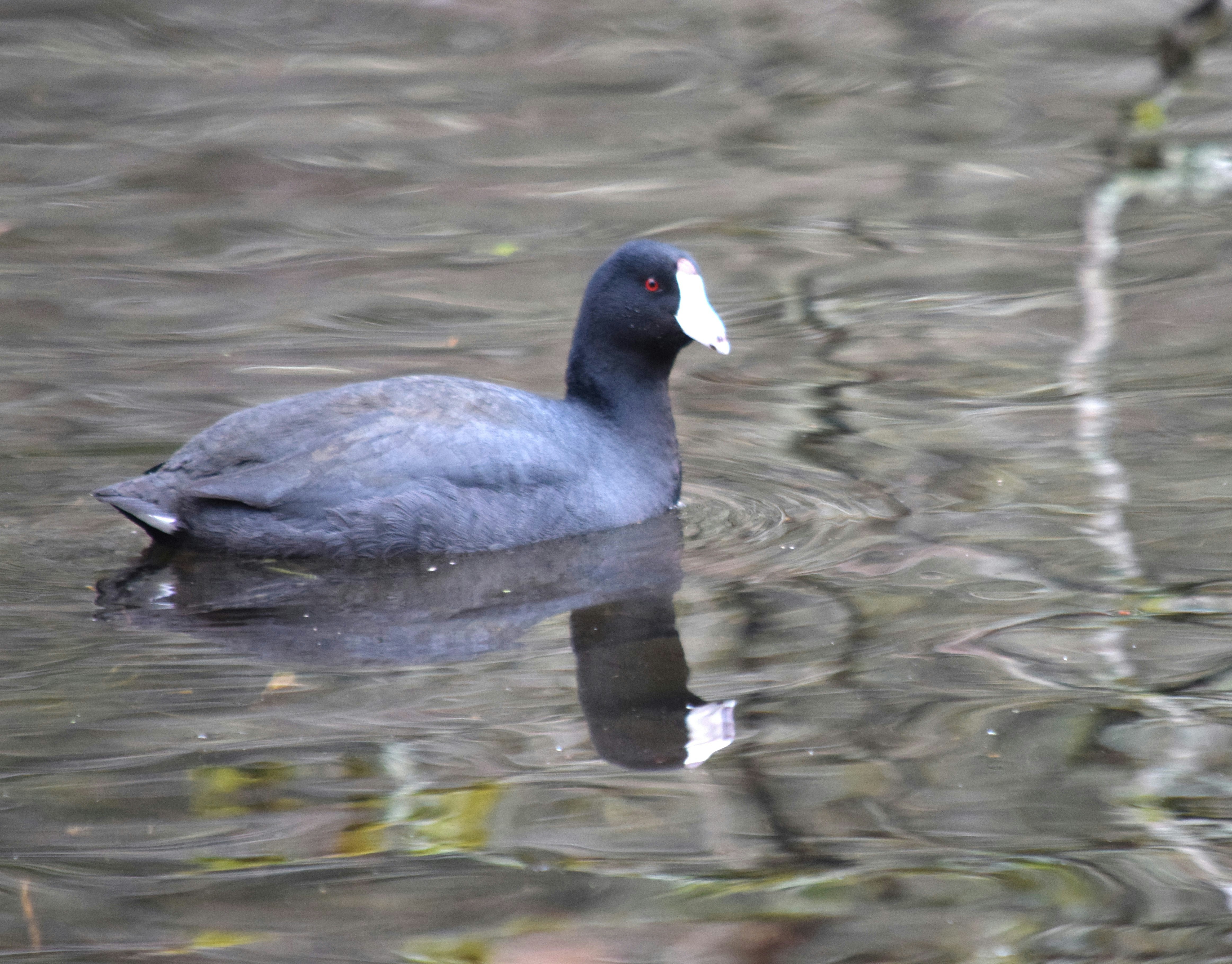 Photo by fr0ggy5_fr0ggy5