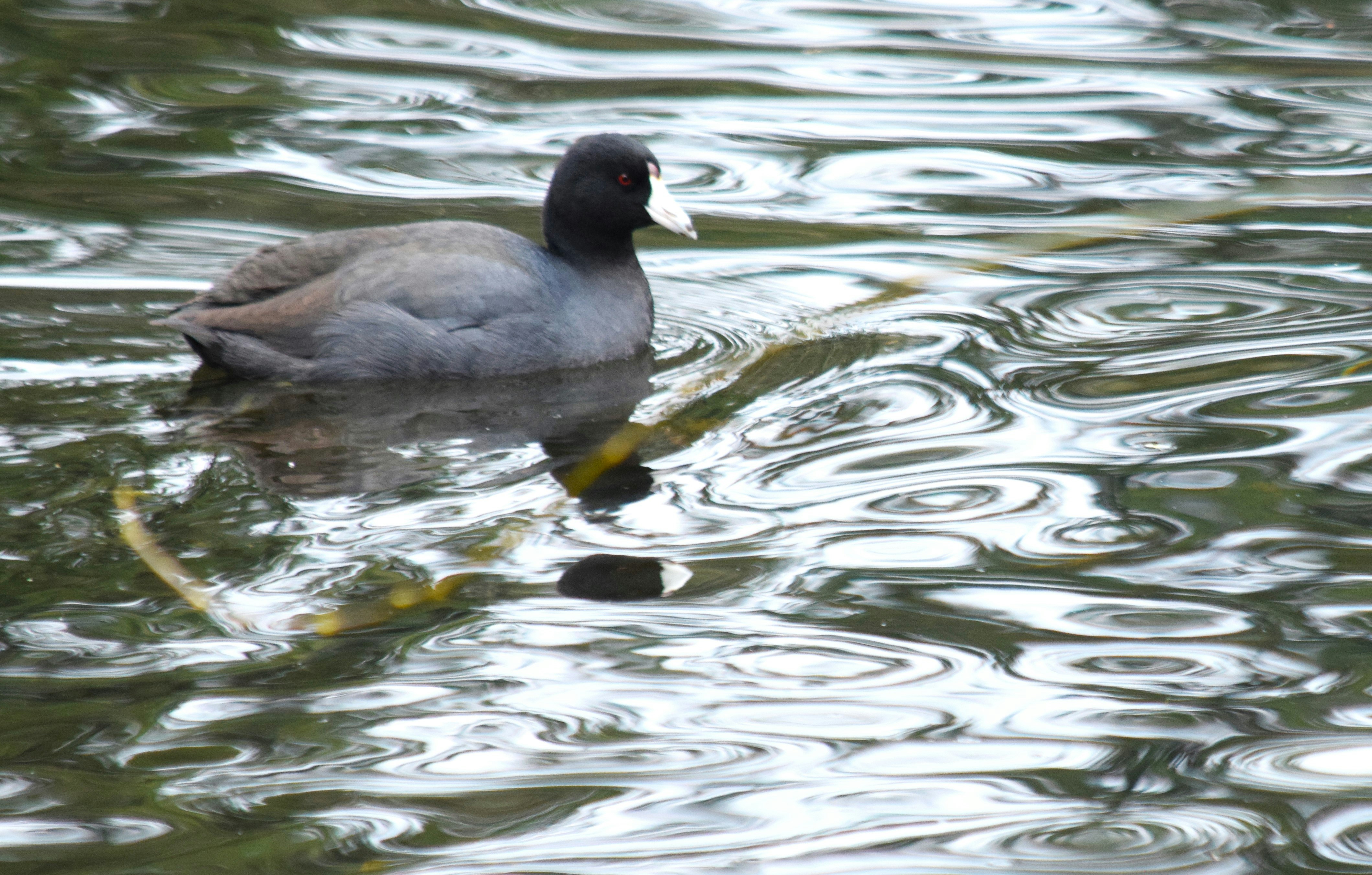 Photo by fr0ggy5_fr0ggy5