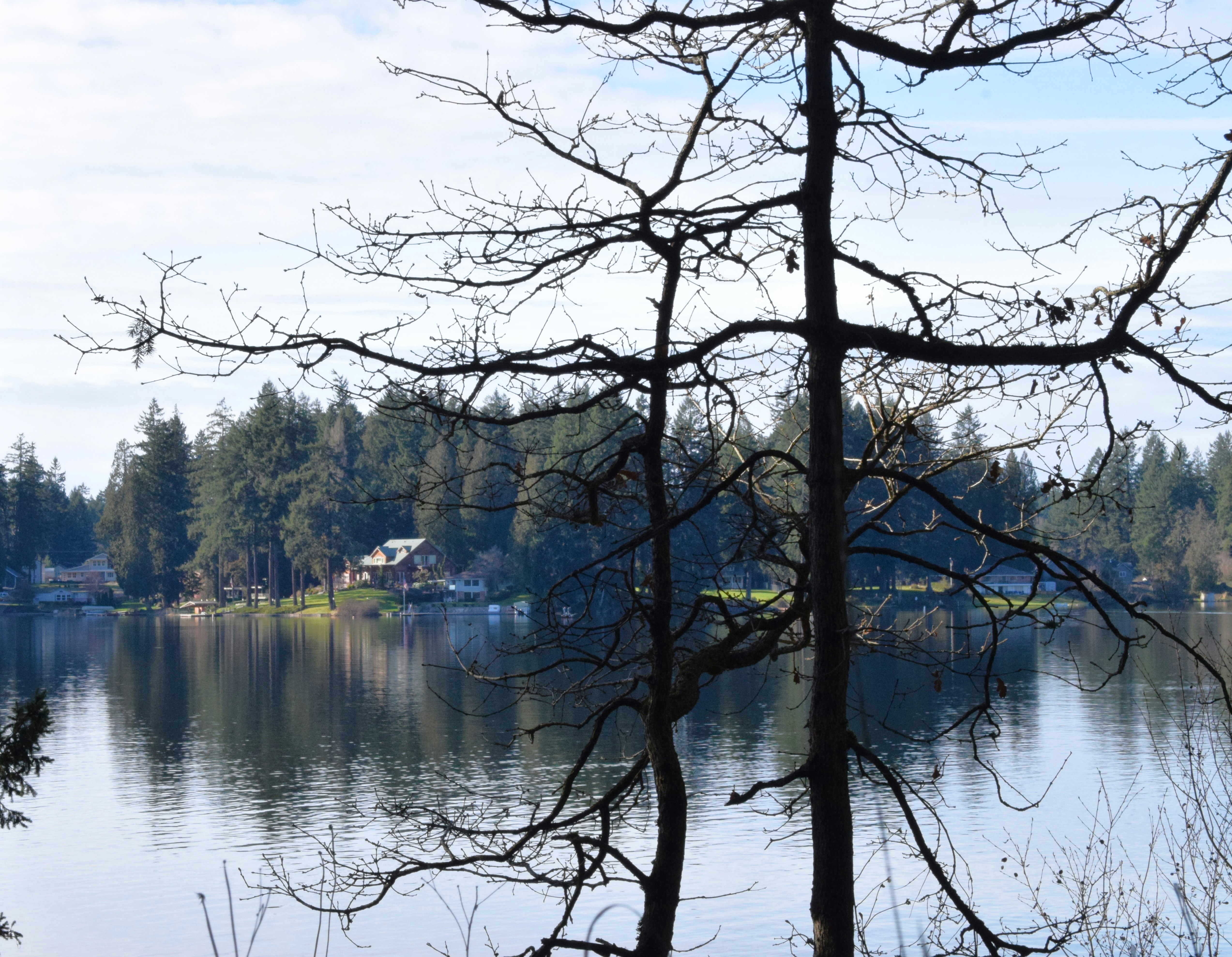 Photo by fr0ggy5_fr0ggy5