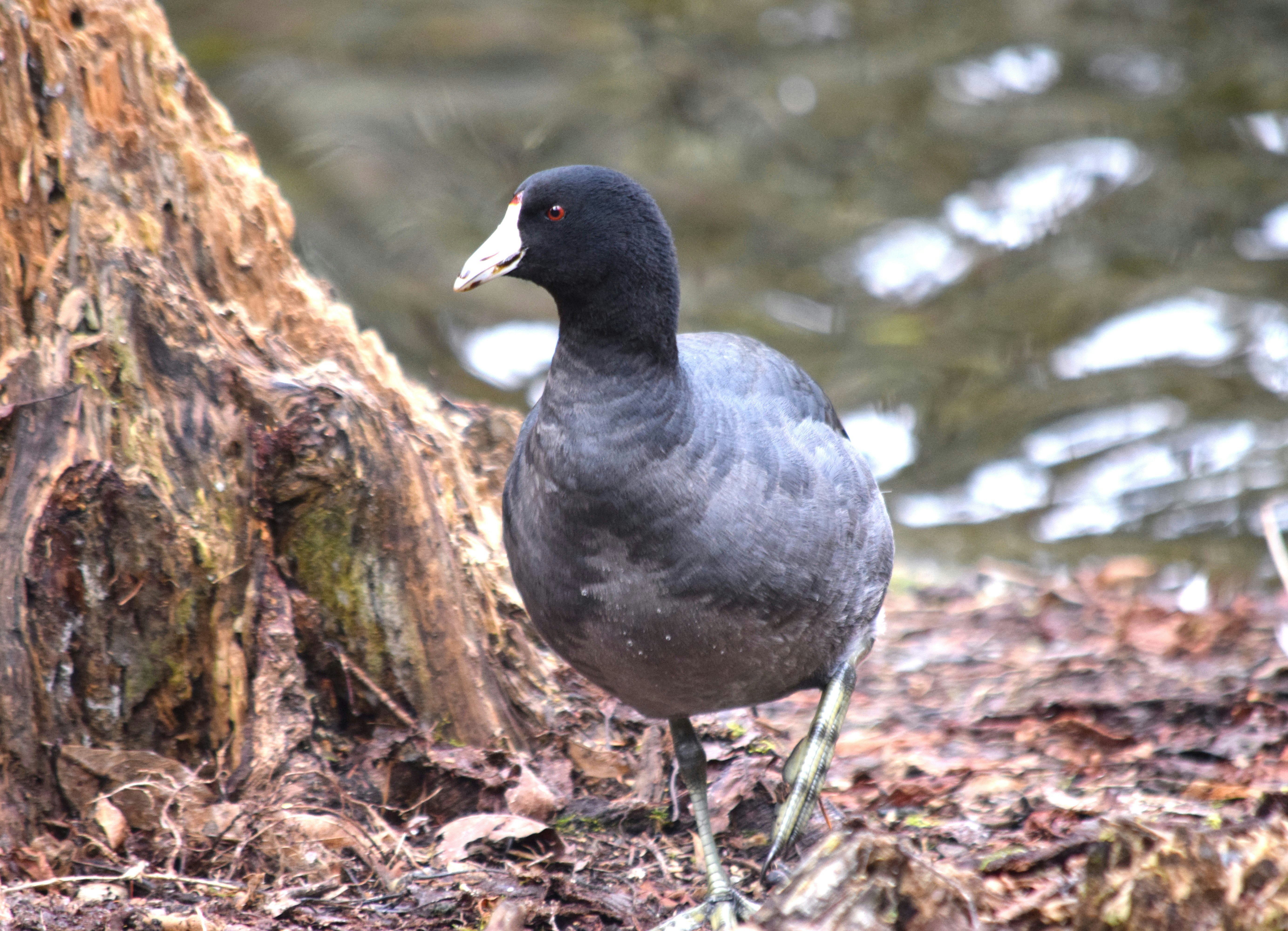 Photo by fr0ggy5_fr0ggy5