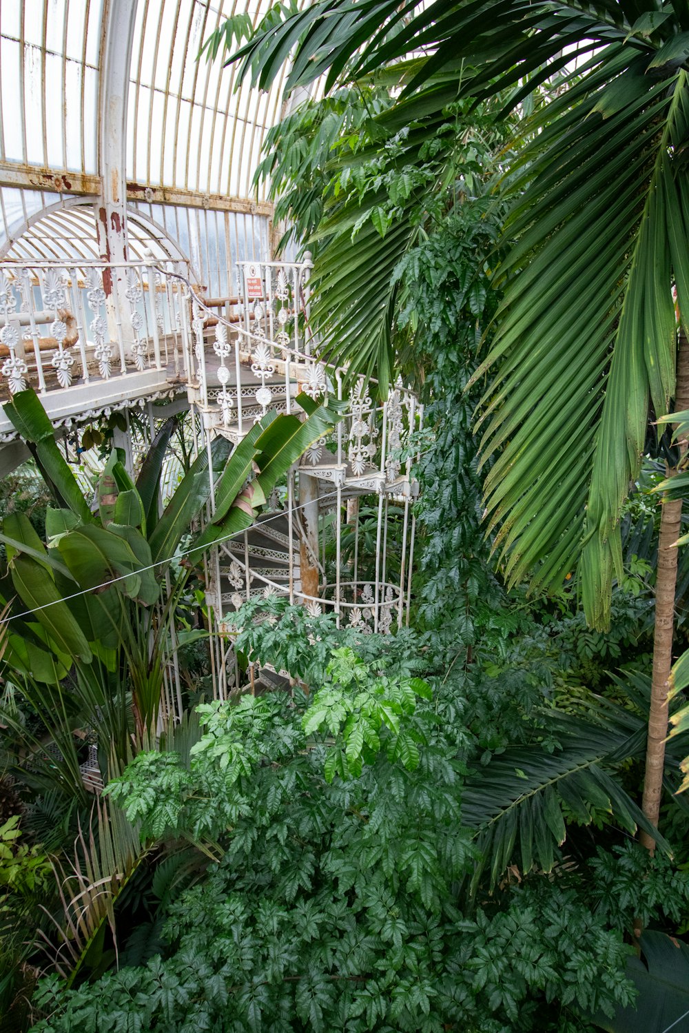 a greenhouse filled with lots of green plants